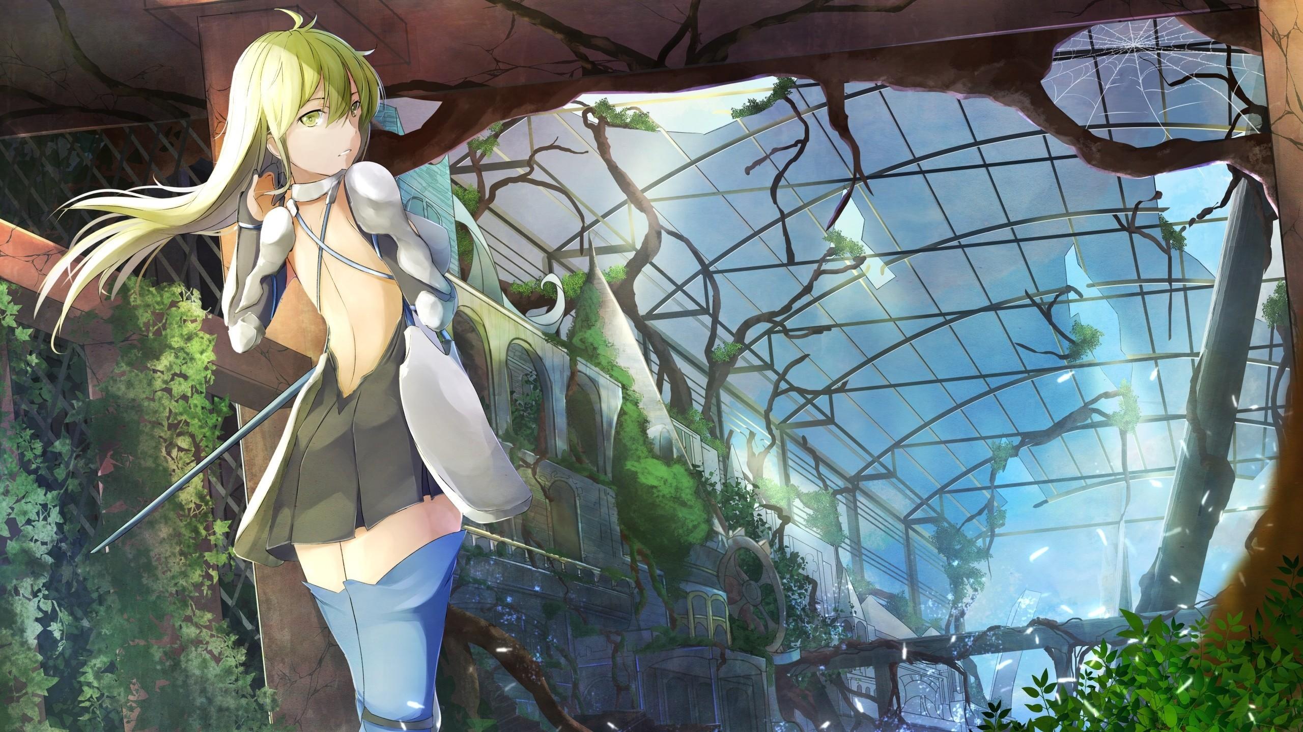 Anime Danmachi: Sword Oratoria 4k Ultra HD Wallpaper