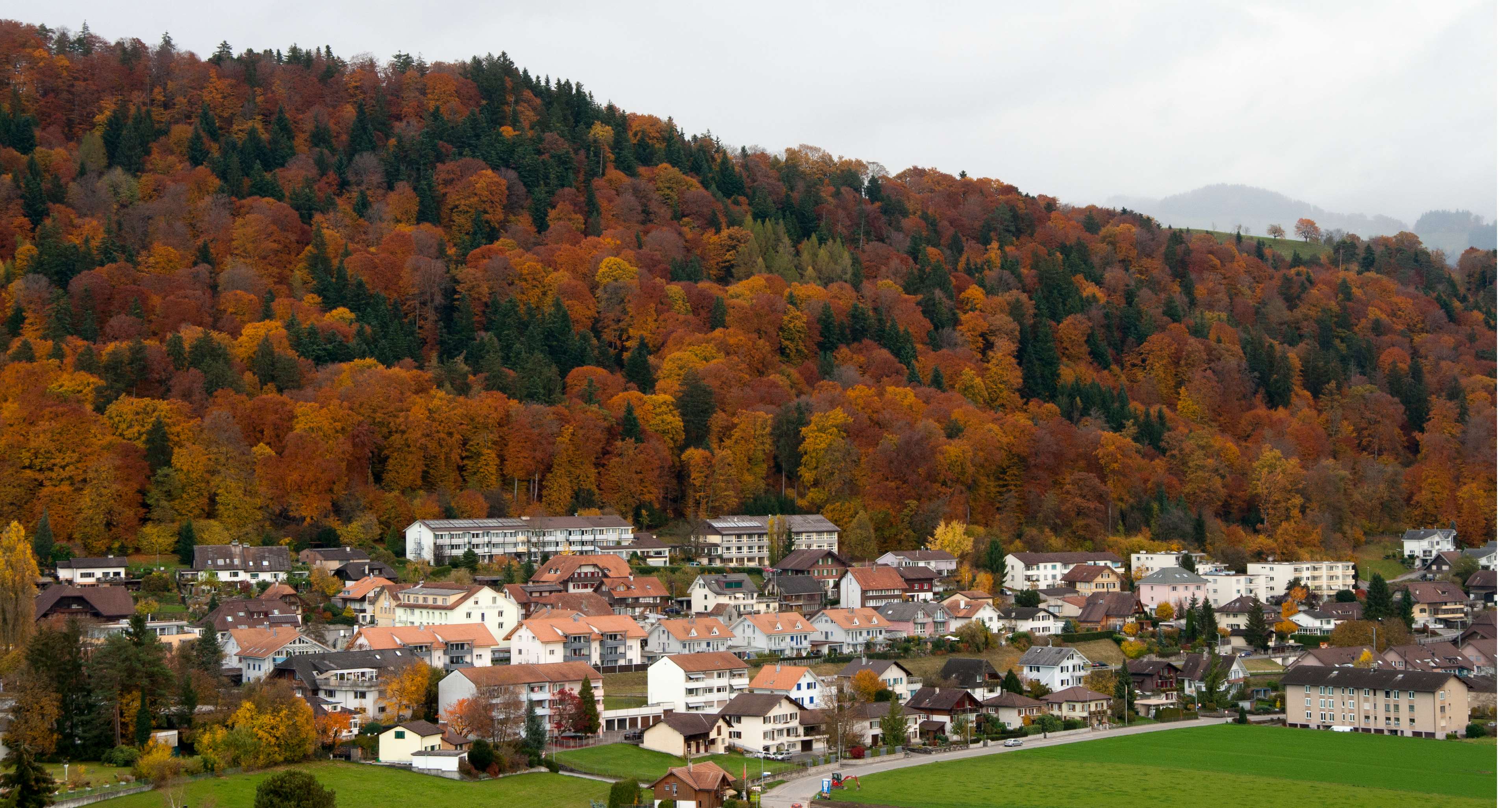 Autumn Village Wallpapers - Wallpaper Cave