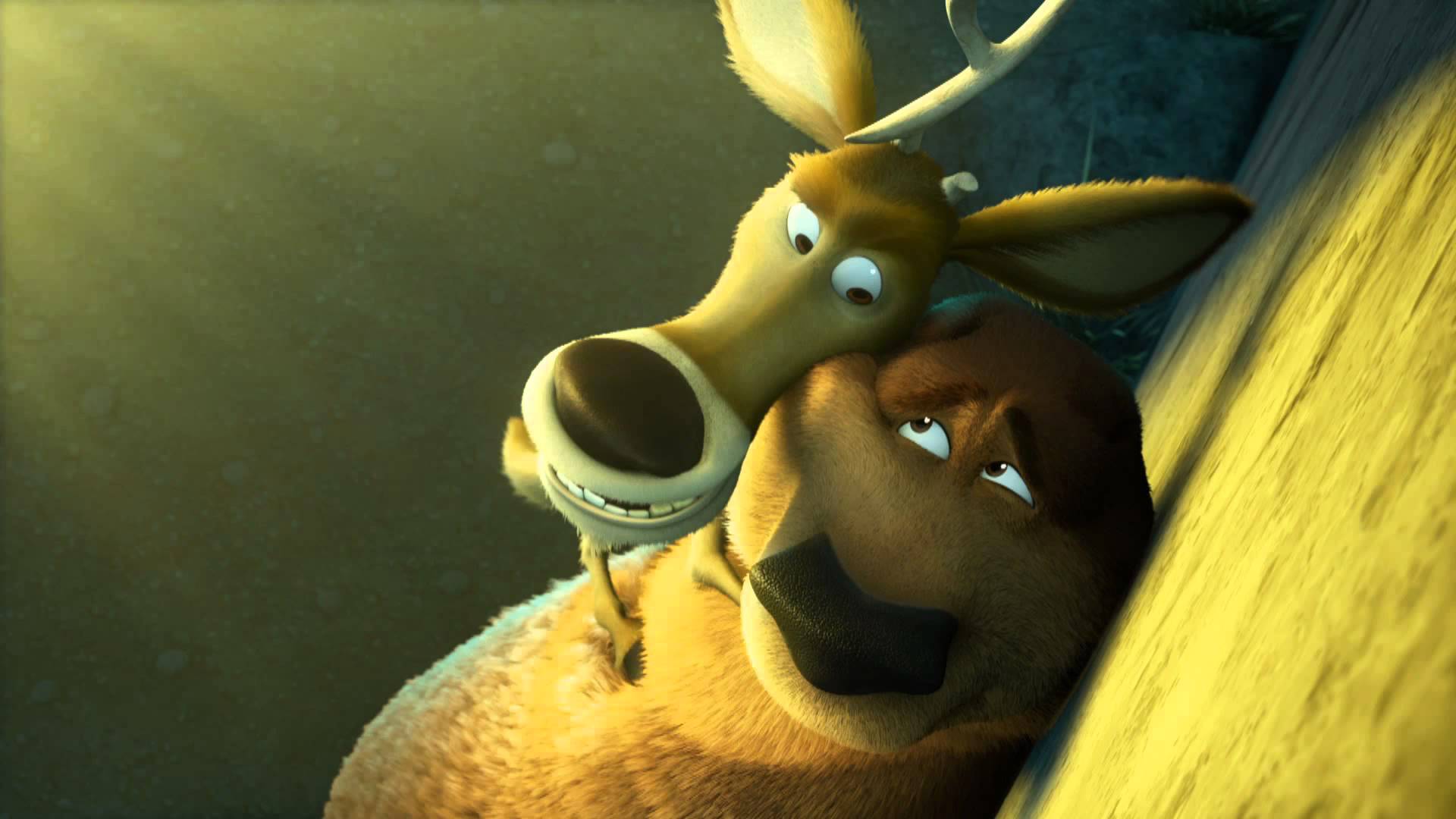 Open Season Scared Silly Wallpaper High Quality