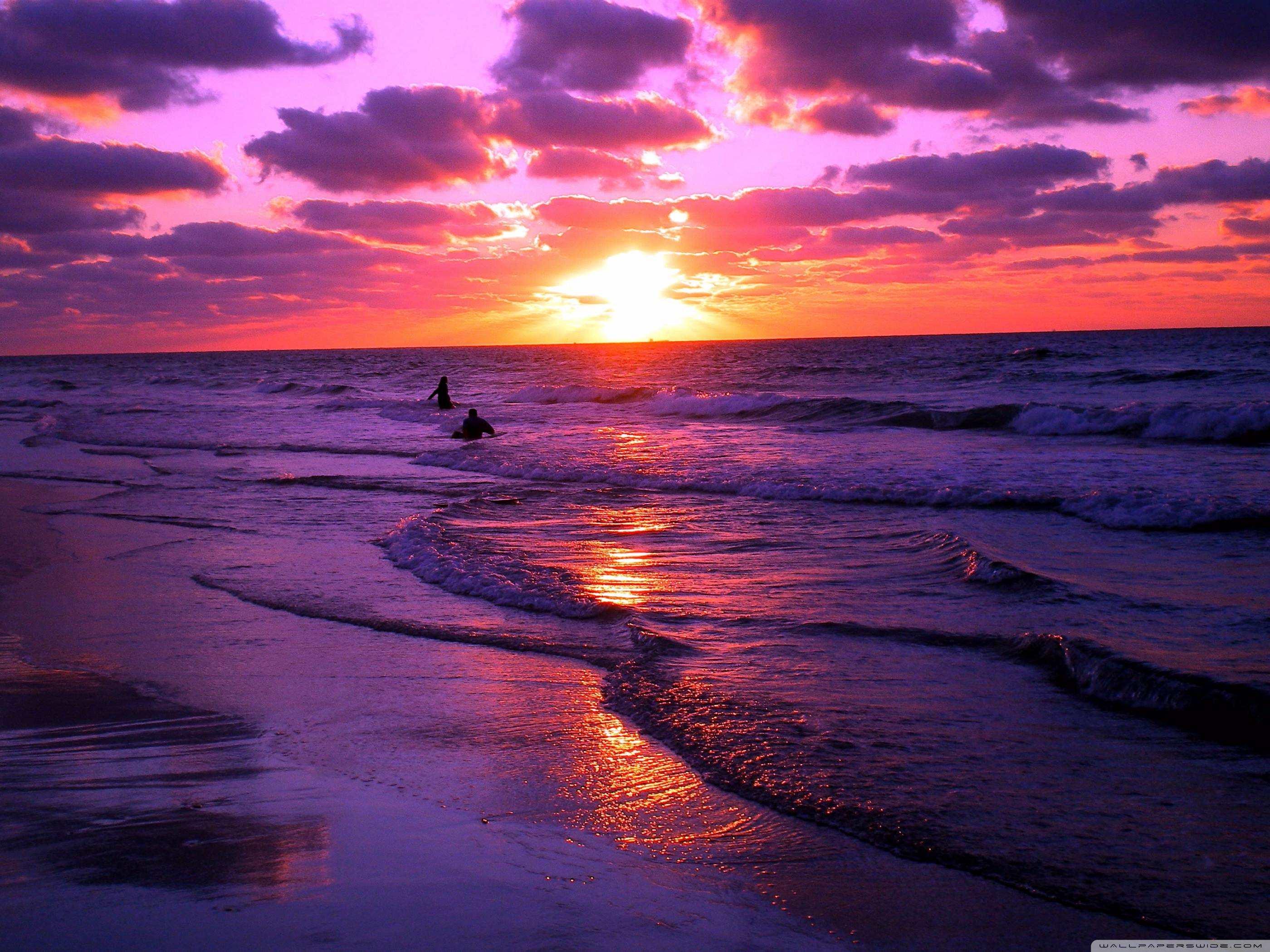 Sunset on the beach wallpaper Gallery