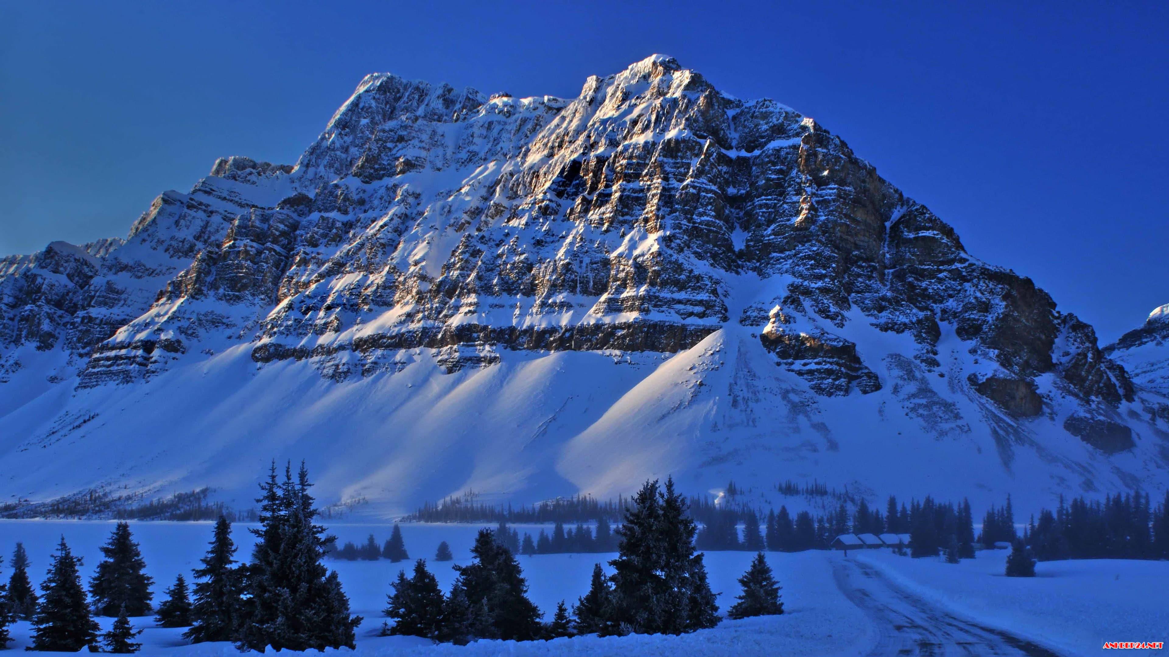 Snowy Mountains In Bow Lake Banff National Park UHD 4K Wallpaper