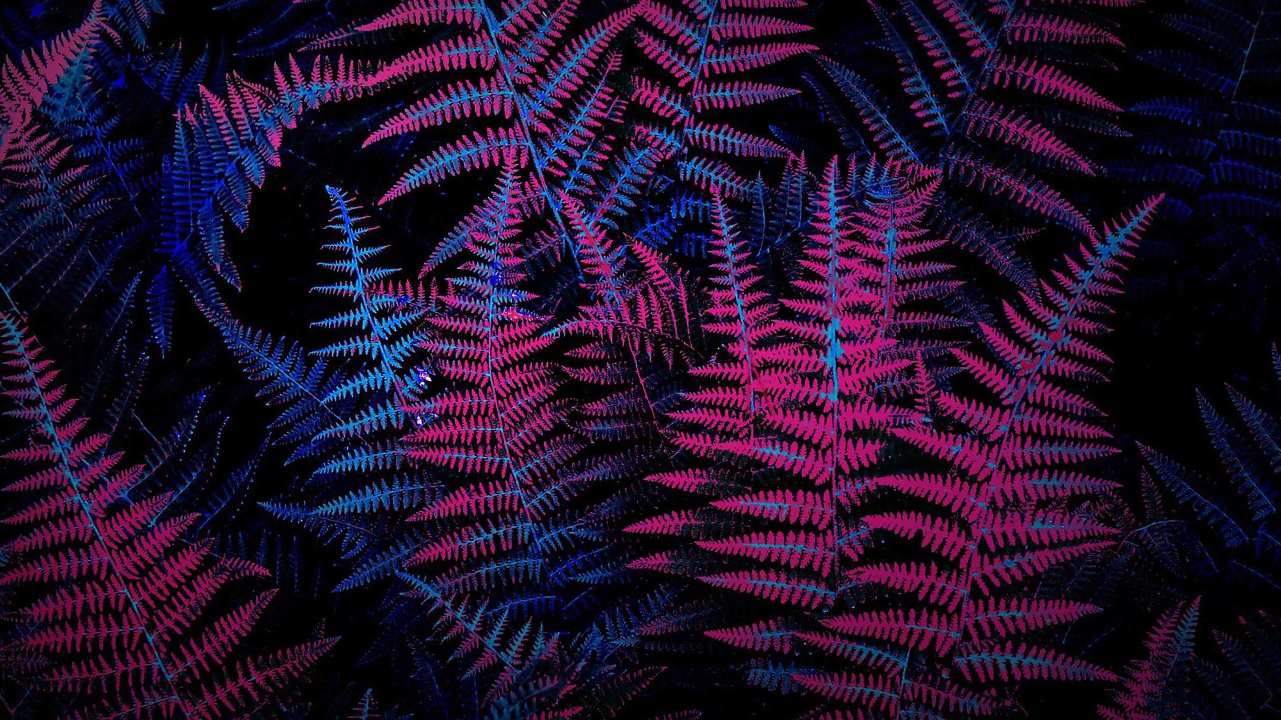 Neon Plants Wallpaper
