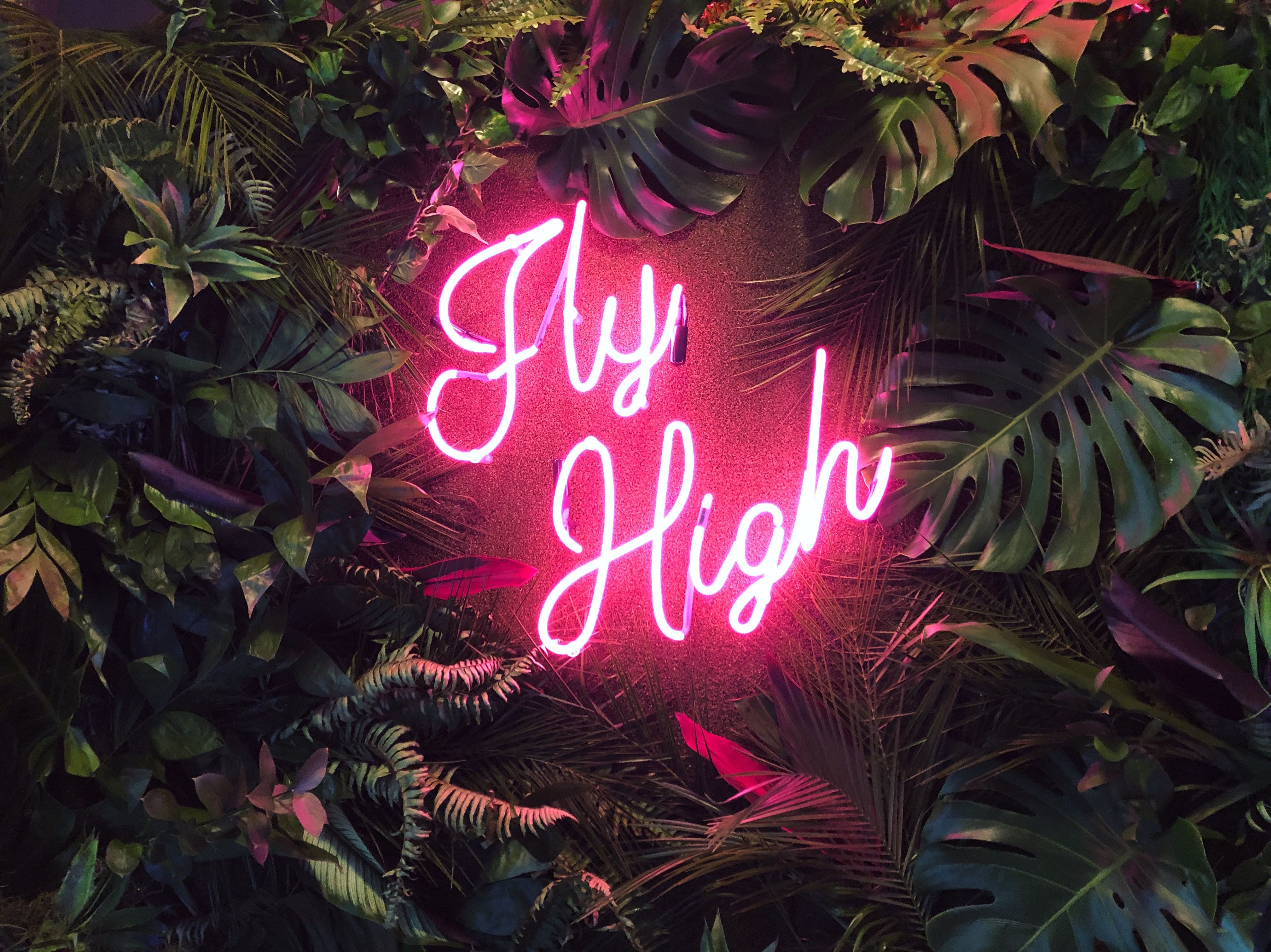 Fly High Neon sign tropical installation #light