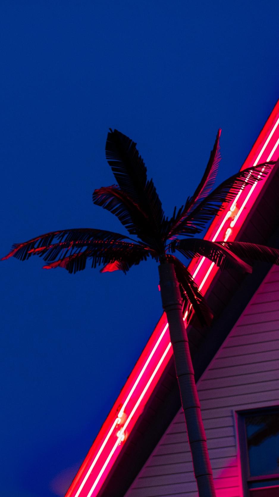 Download wallpaper 938x1668 palm, roof, neon, backlight, red