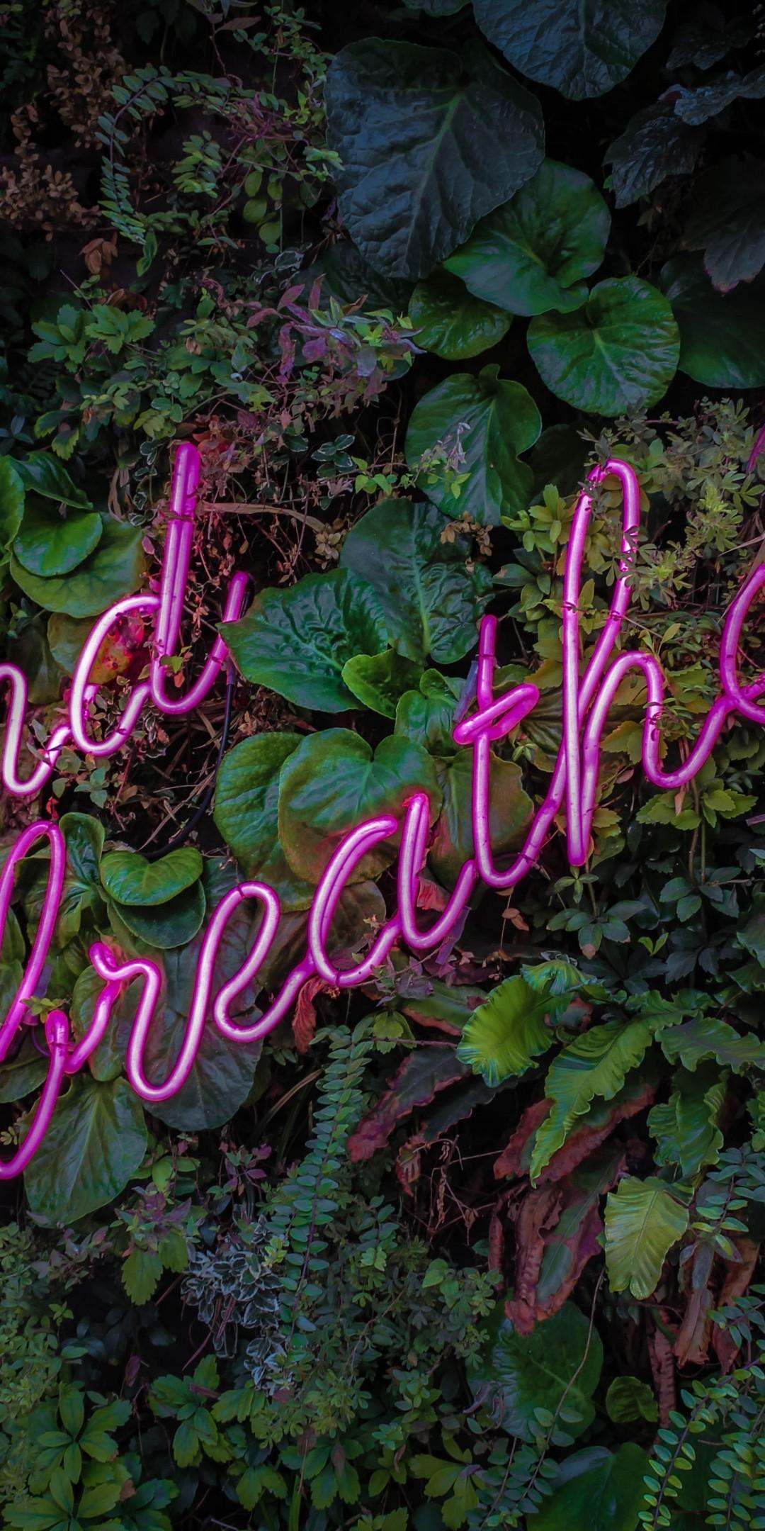 Download 1080x2160 Neon Sign, Leaves, Plants, And Breathe