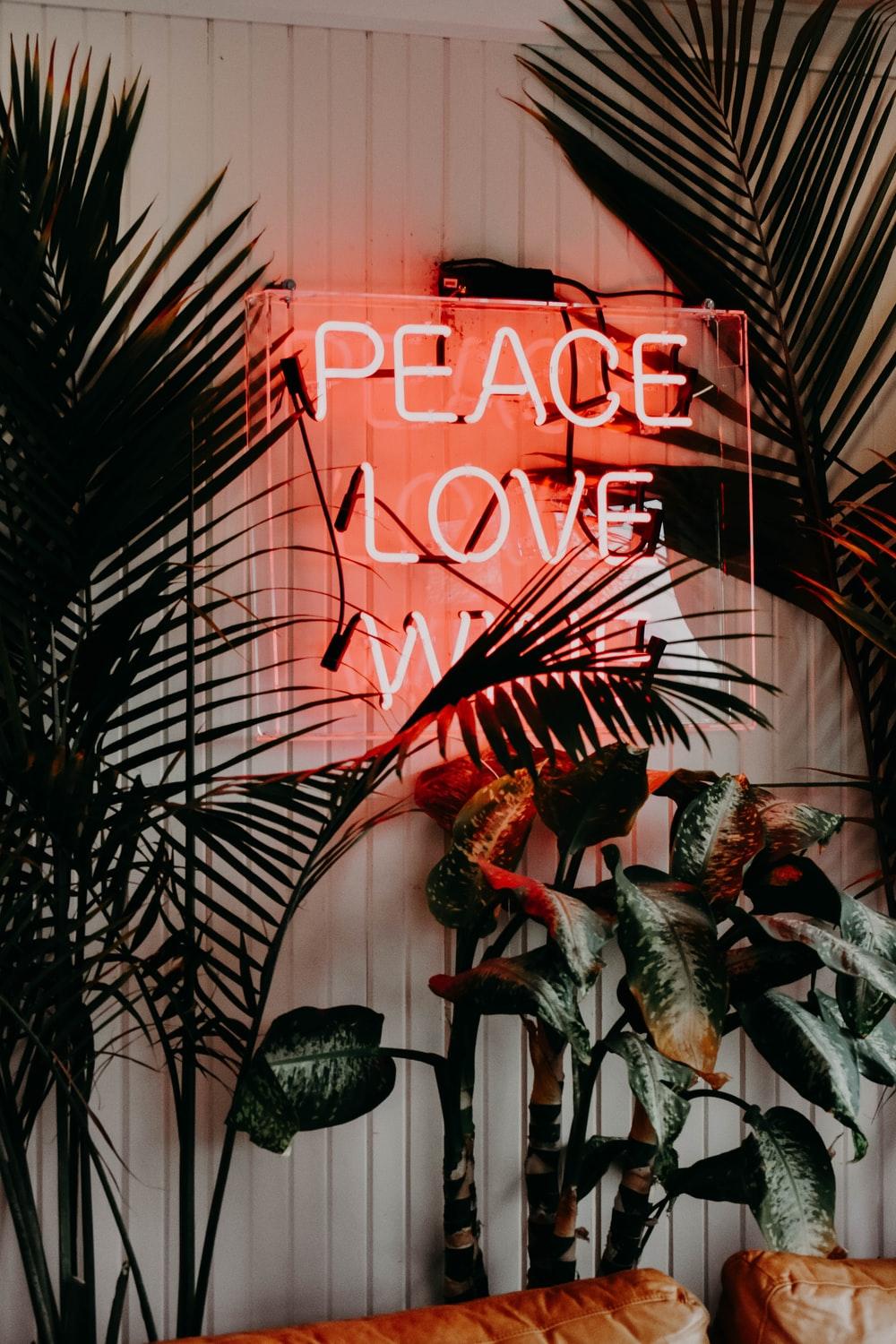 Plant, neon, love and sign. HD photo