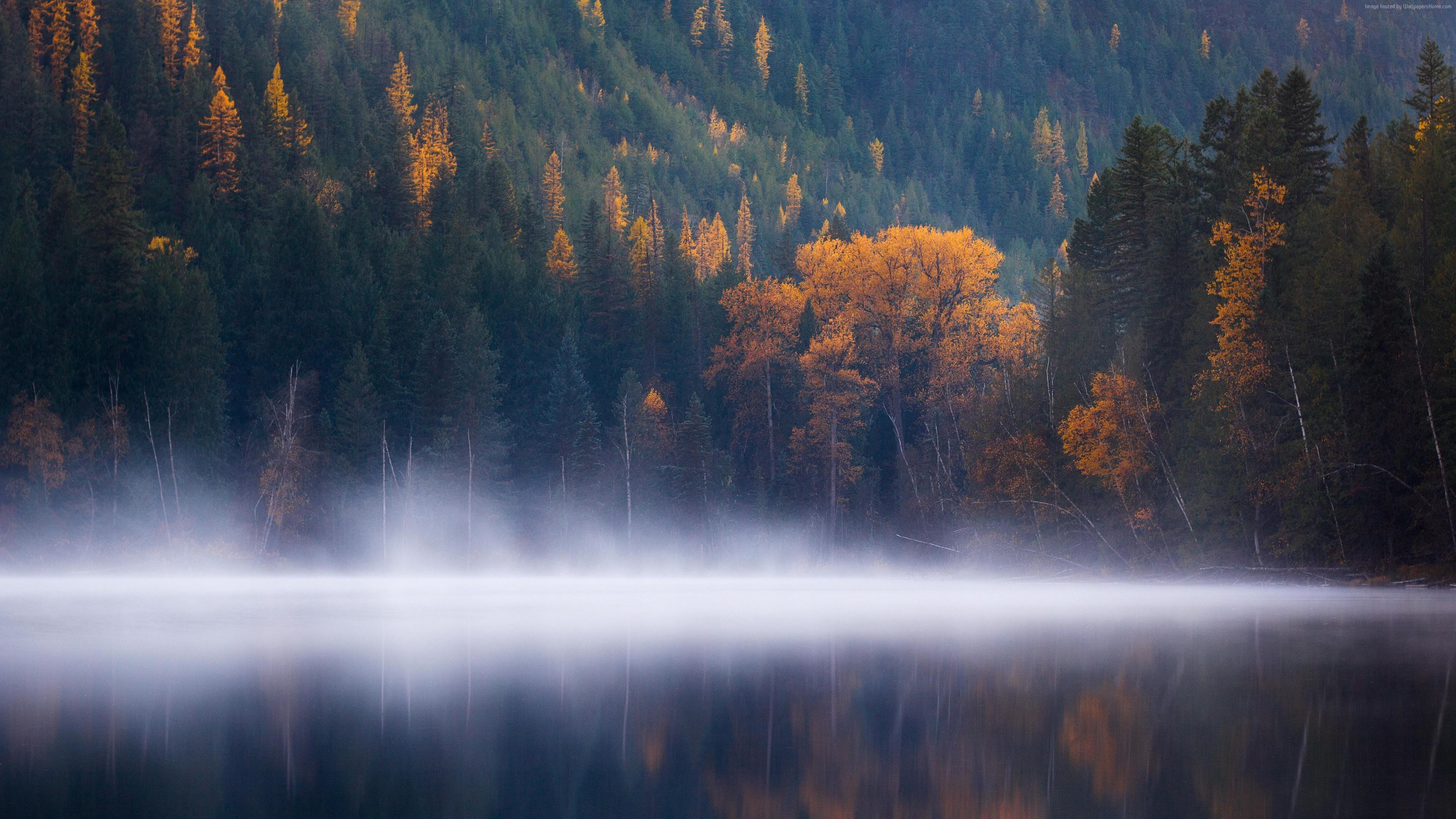 Wallpaper Echo Lake, forest, trees, fog, Columbia, autumn