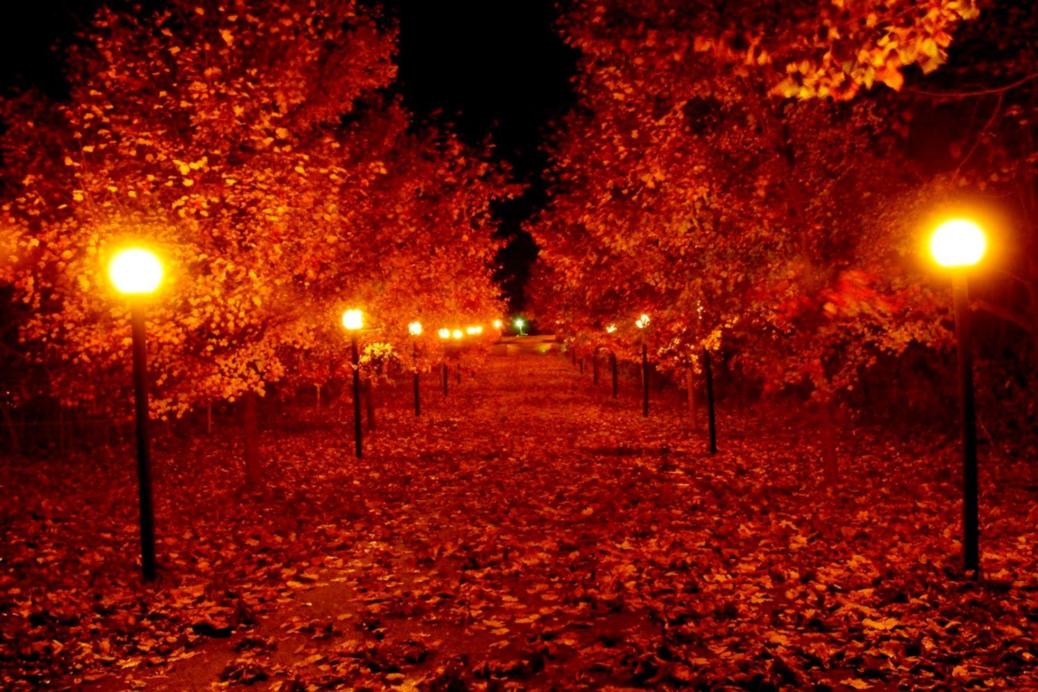 Autumn Night Wallpaper