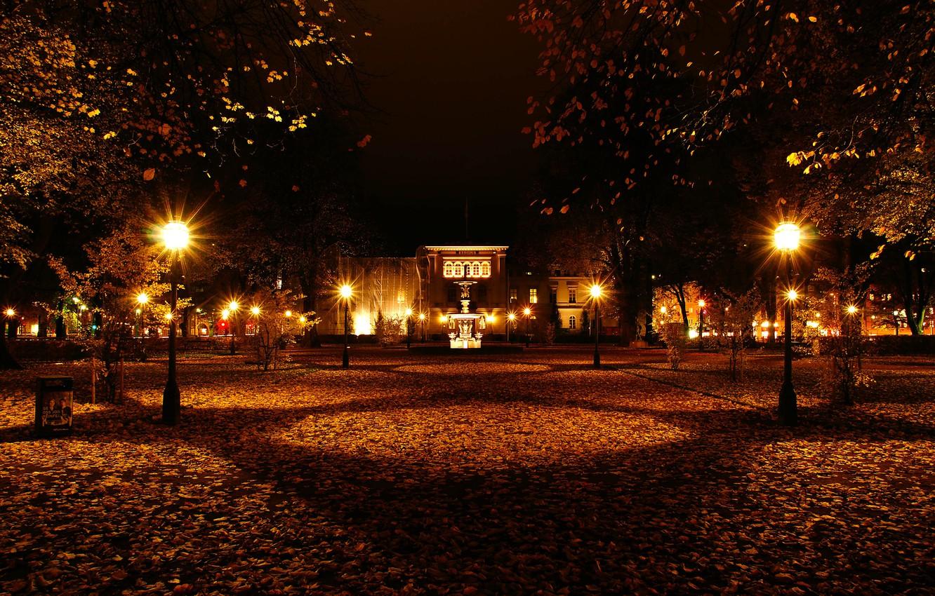Wallpaper Night, Autumn, Lights, Park, Sweden, Fall, Foliage