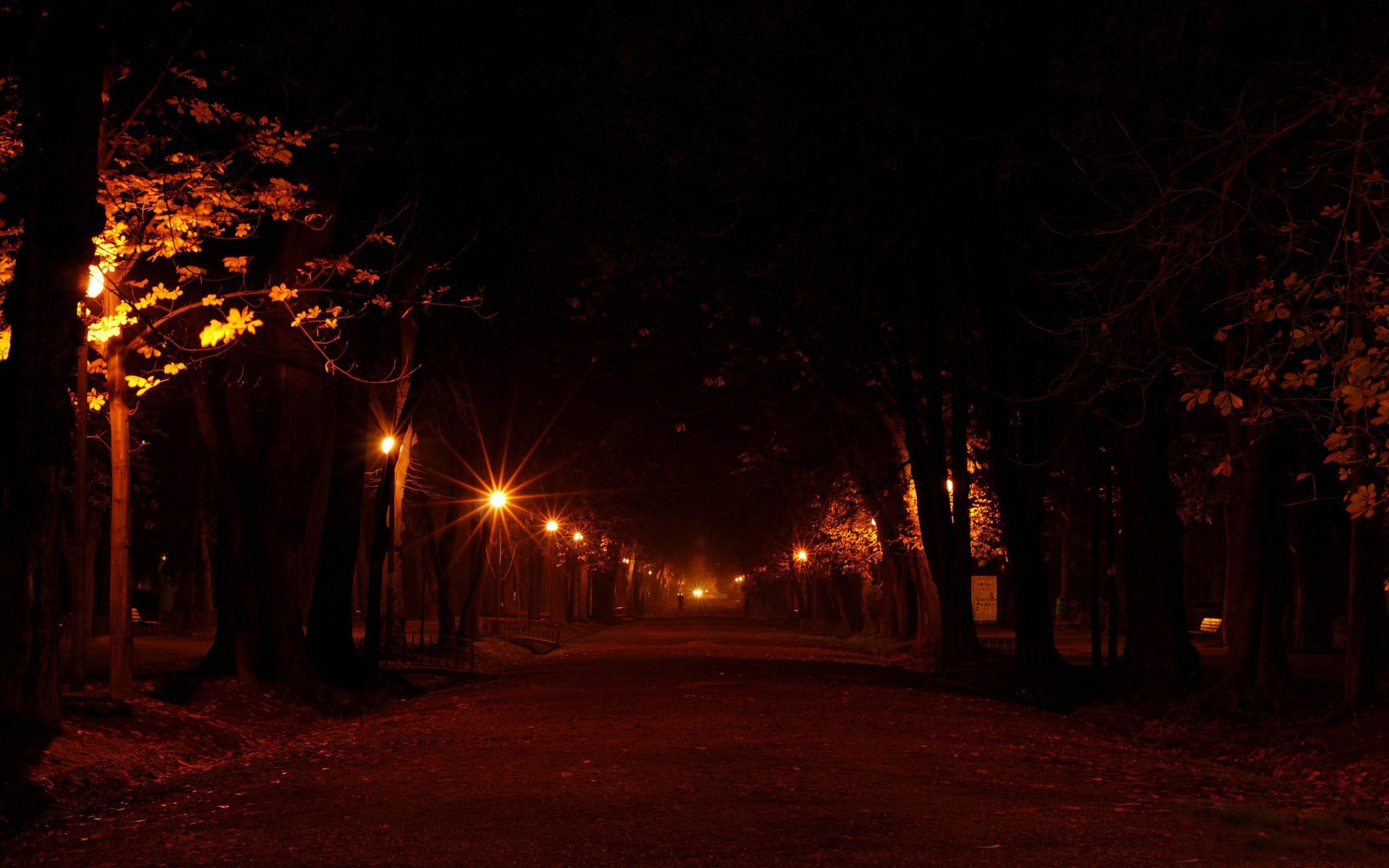 Night in the Park wallpaper and image