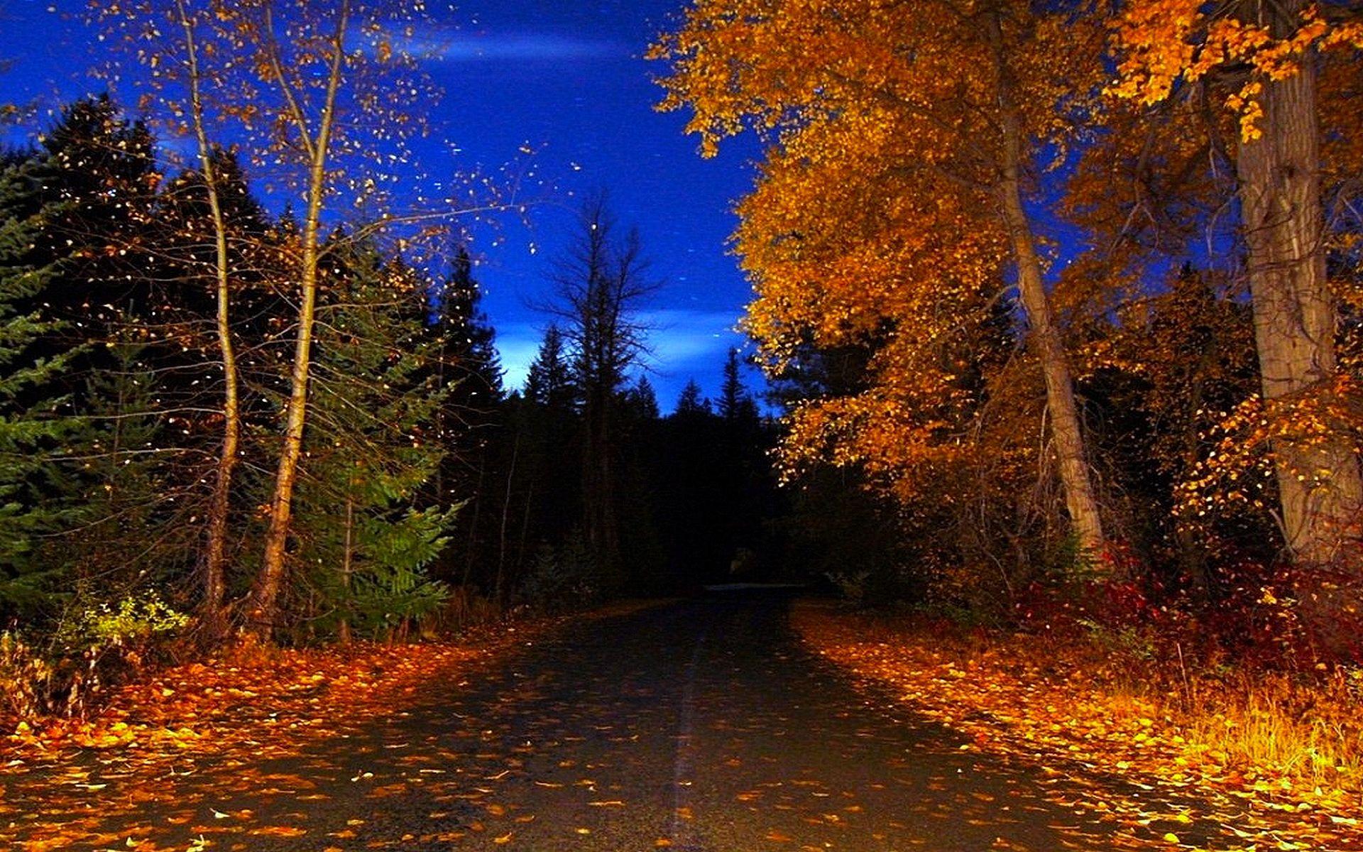fall nights.. ROAD, AUTUMN, BLUE SKY, COUNTRY, FALL