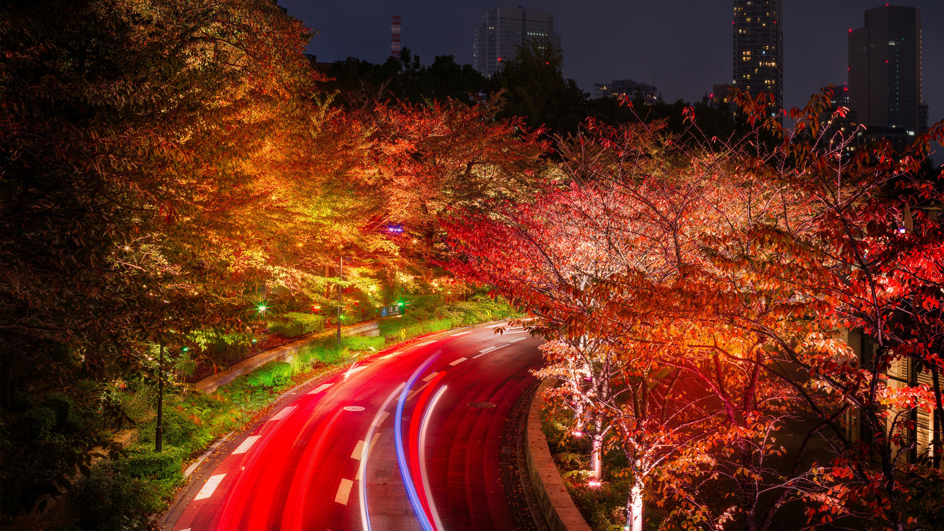 Japan Tokyo Roads Autumn Trees Night Laptop Full