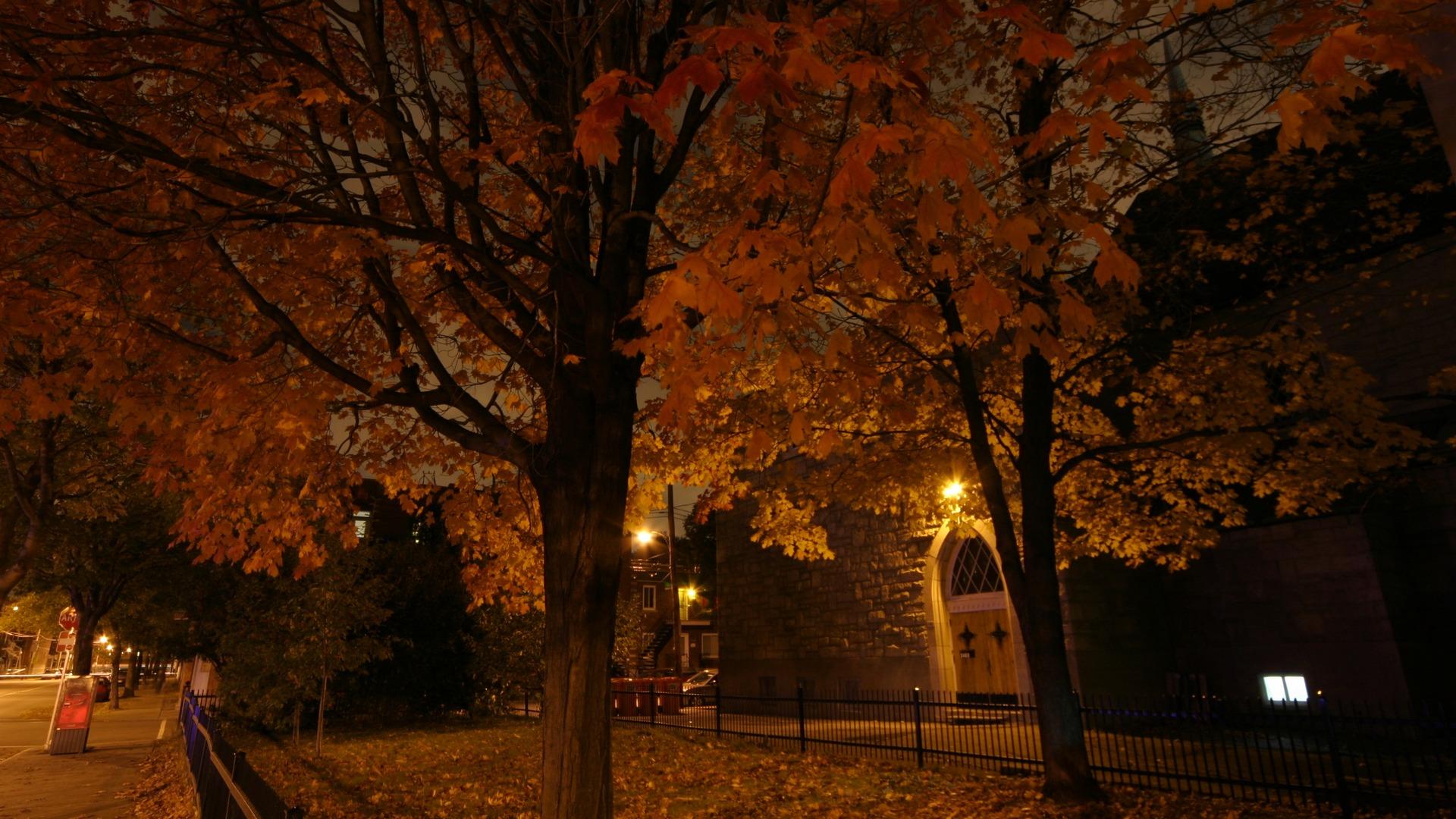 Autumn Night wallpaper