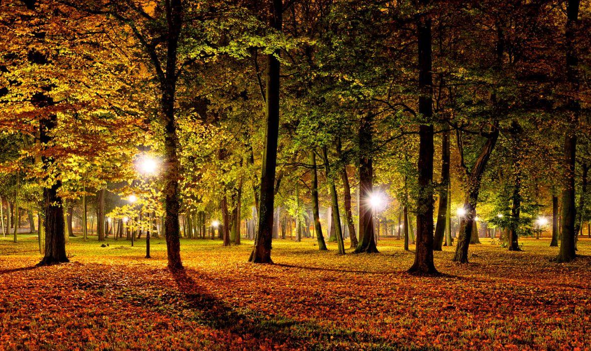 Nature landscapes leaves park night lights dark trees autumn fall seasons wallpaperx1200