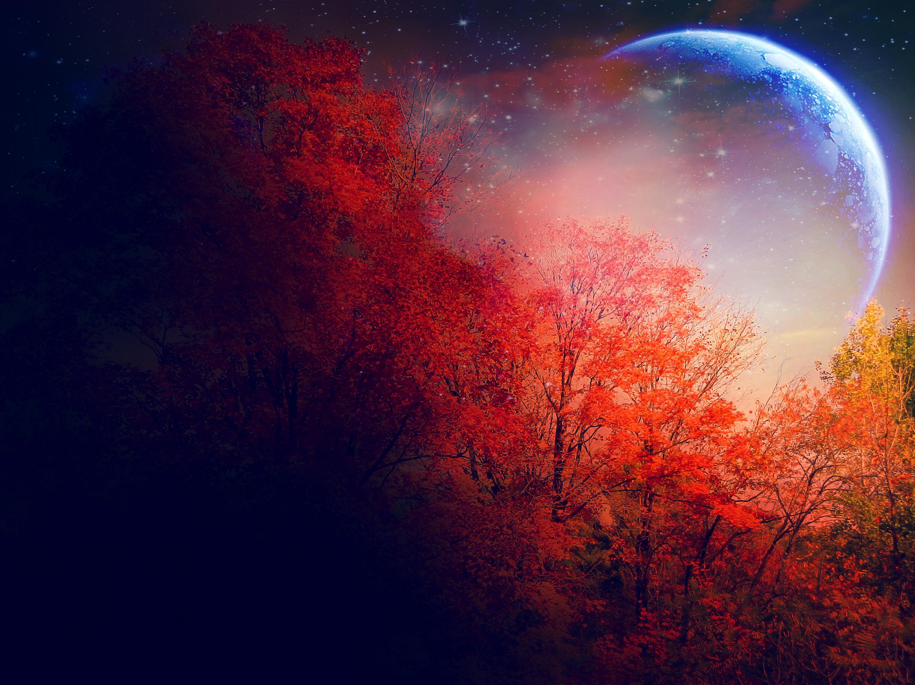 Full Moon in Autumn HD Wallpaper. Background Image