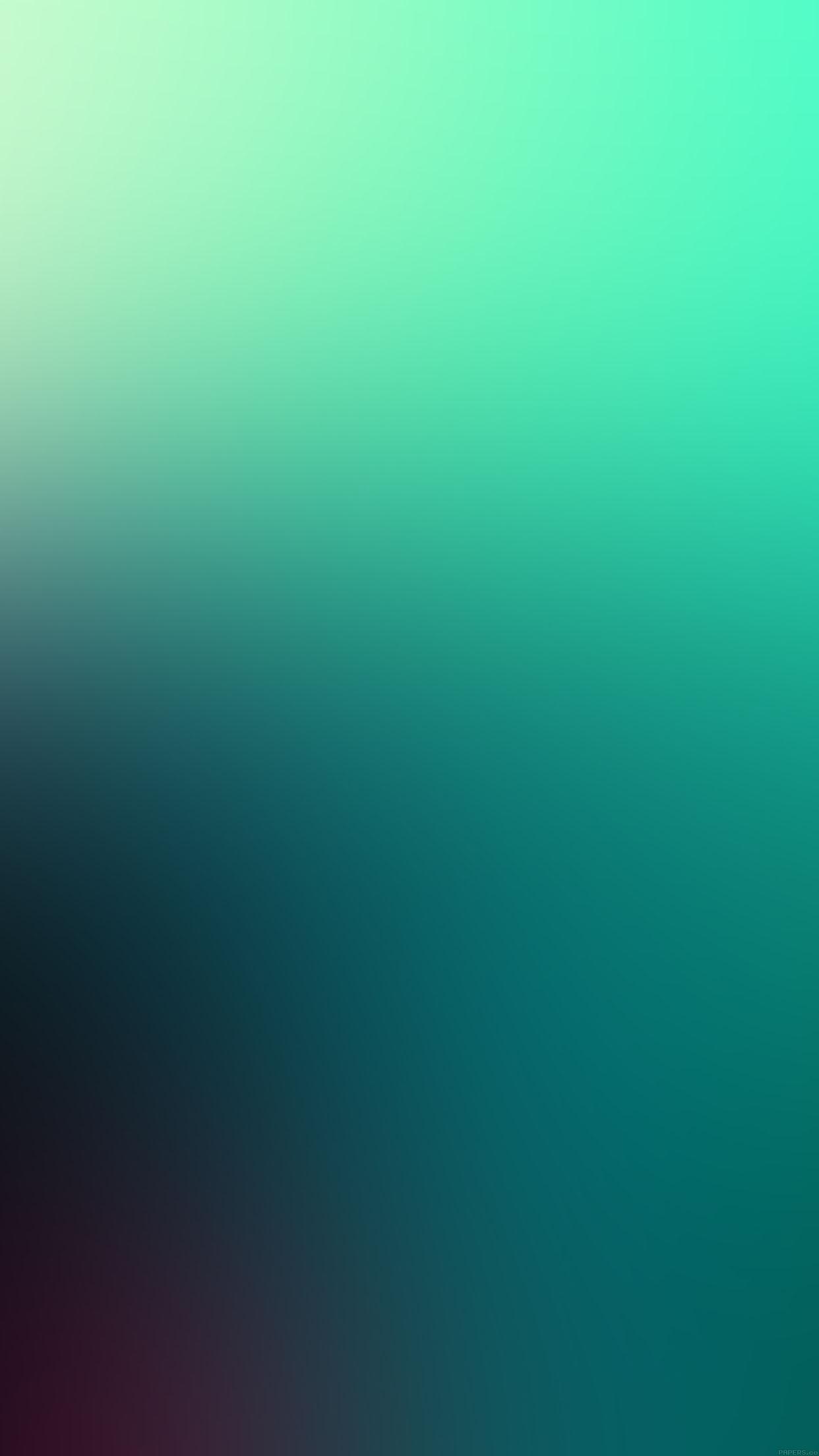 iPhone 6 Wallpaper forest blur