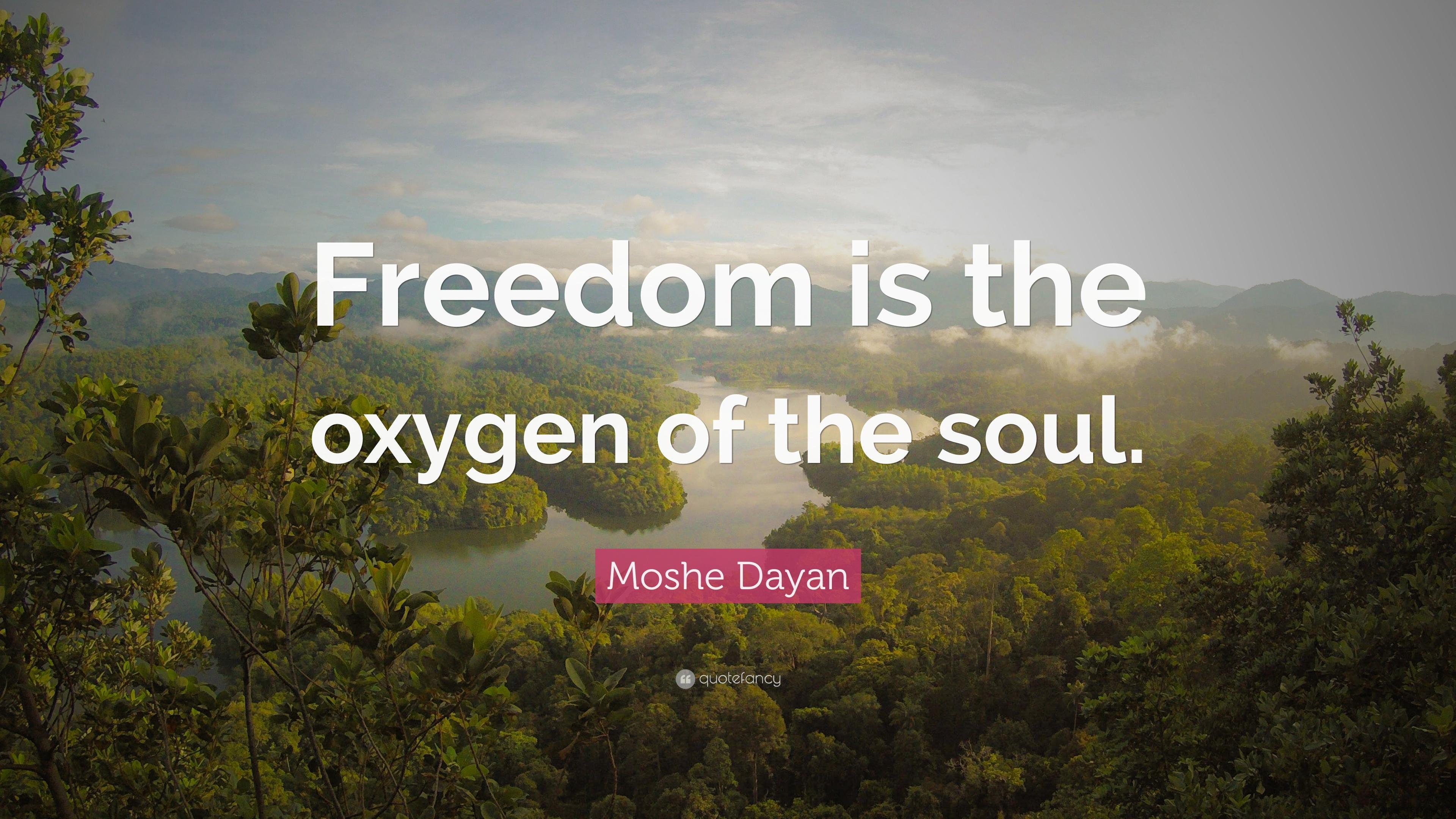 Moshe Dayan Quote: “Freedom is the oxygen of the soul.” 24