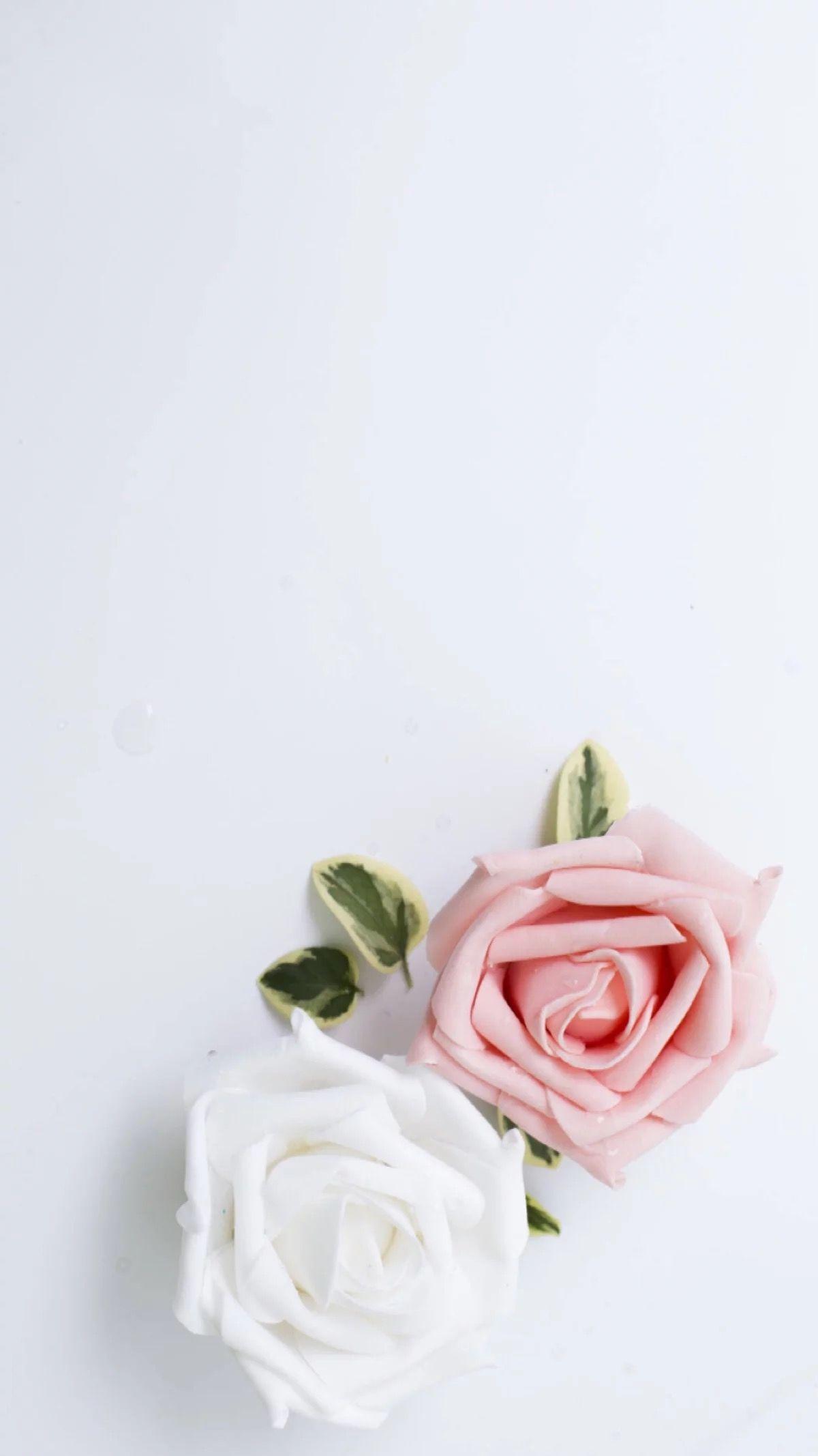 Cute Aesthetic Wallpapers Flowers – WallpaperShit