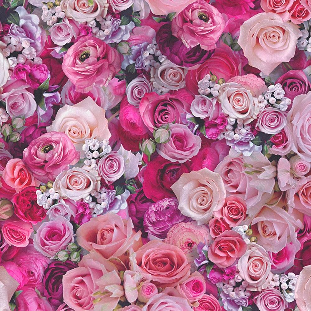  Aesthetic  Pink Roses  Wallpapers  Wallpaper  Cave