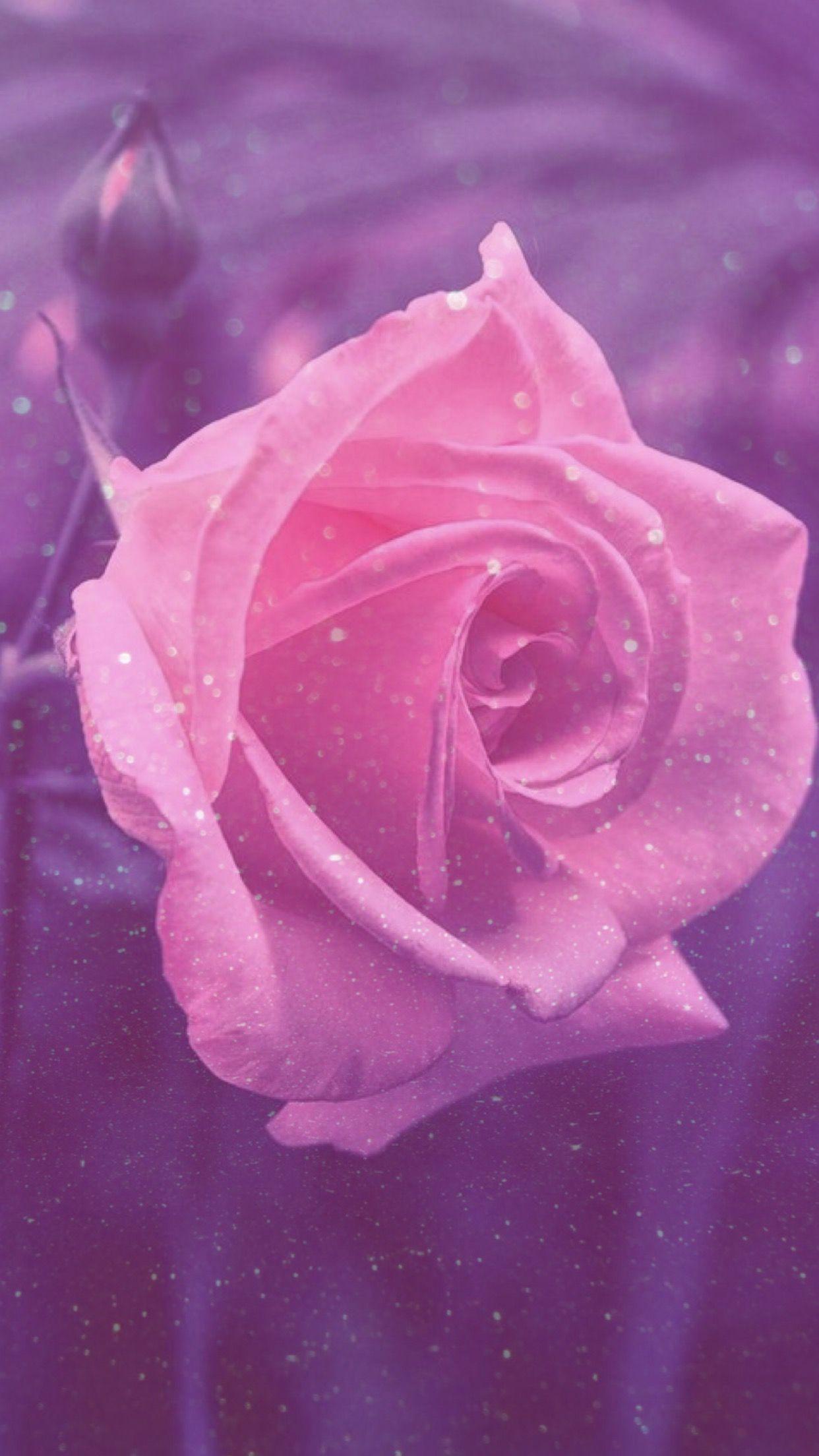 Aesthetic Pink Roses Wallpapers - Wallpaper Cave