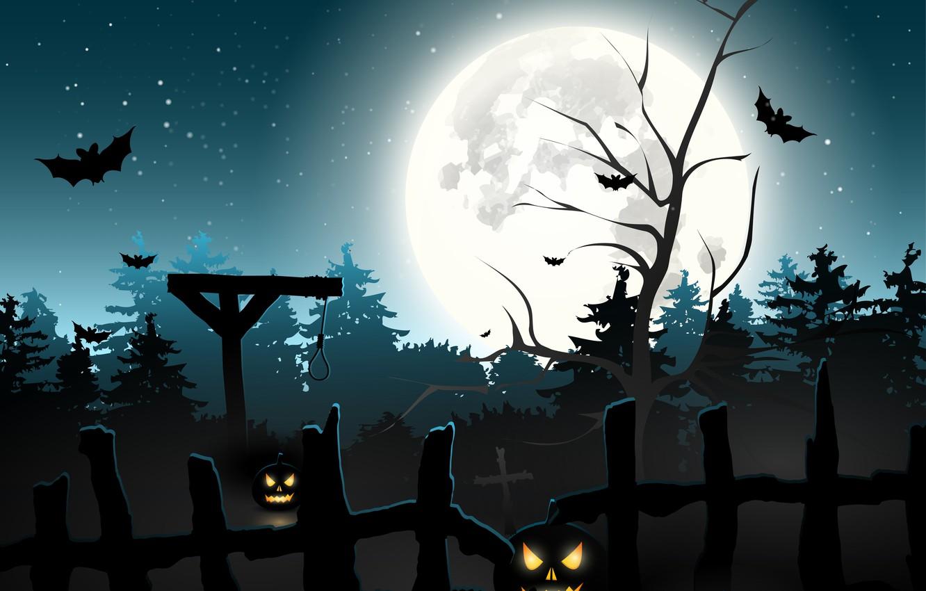Wallpaper forest, cemetery, pumpkin, horror, horror