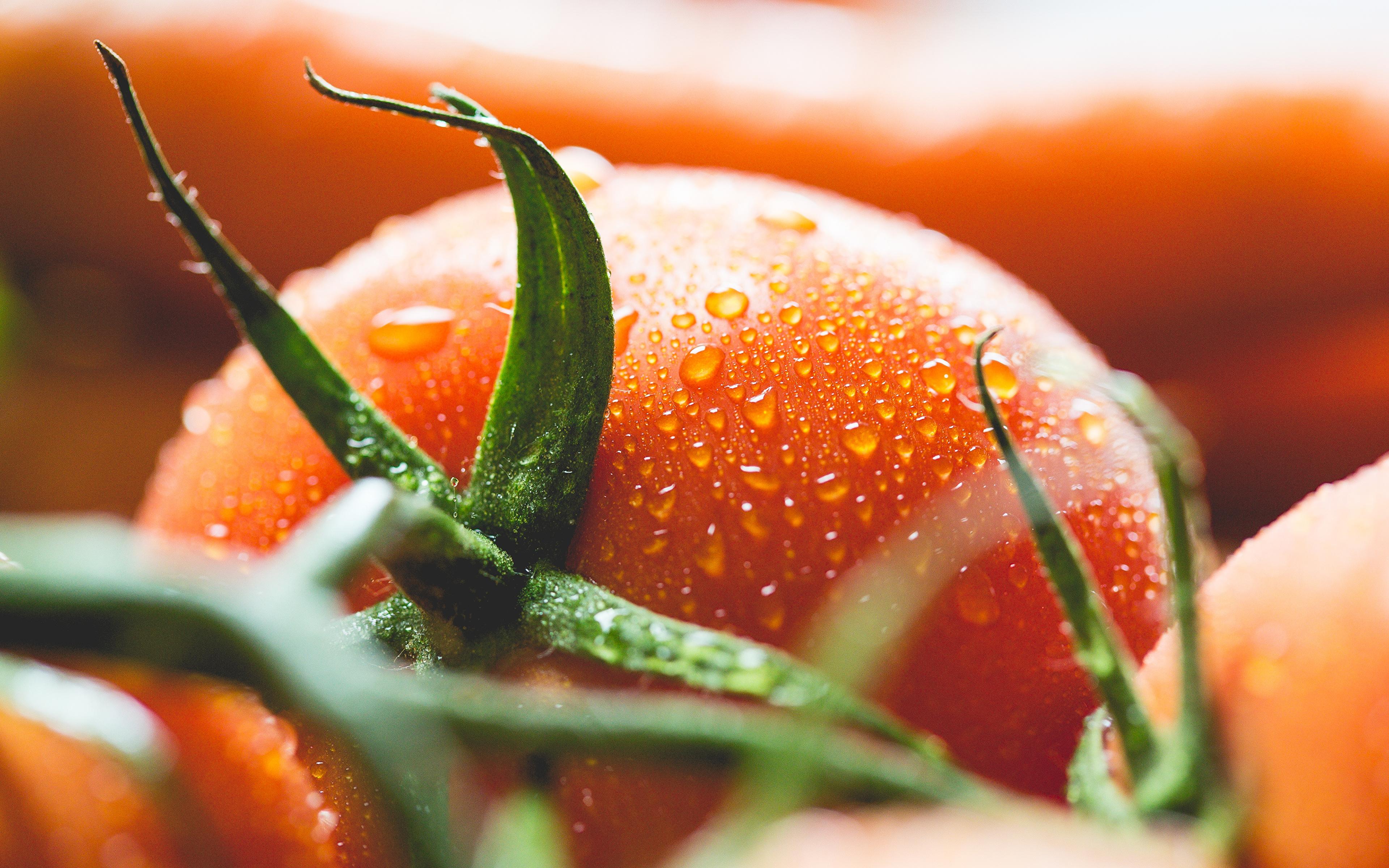 Desktop Wallpaper Tomatoes Drops Macro Food Closeup 3840x2400