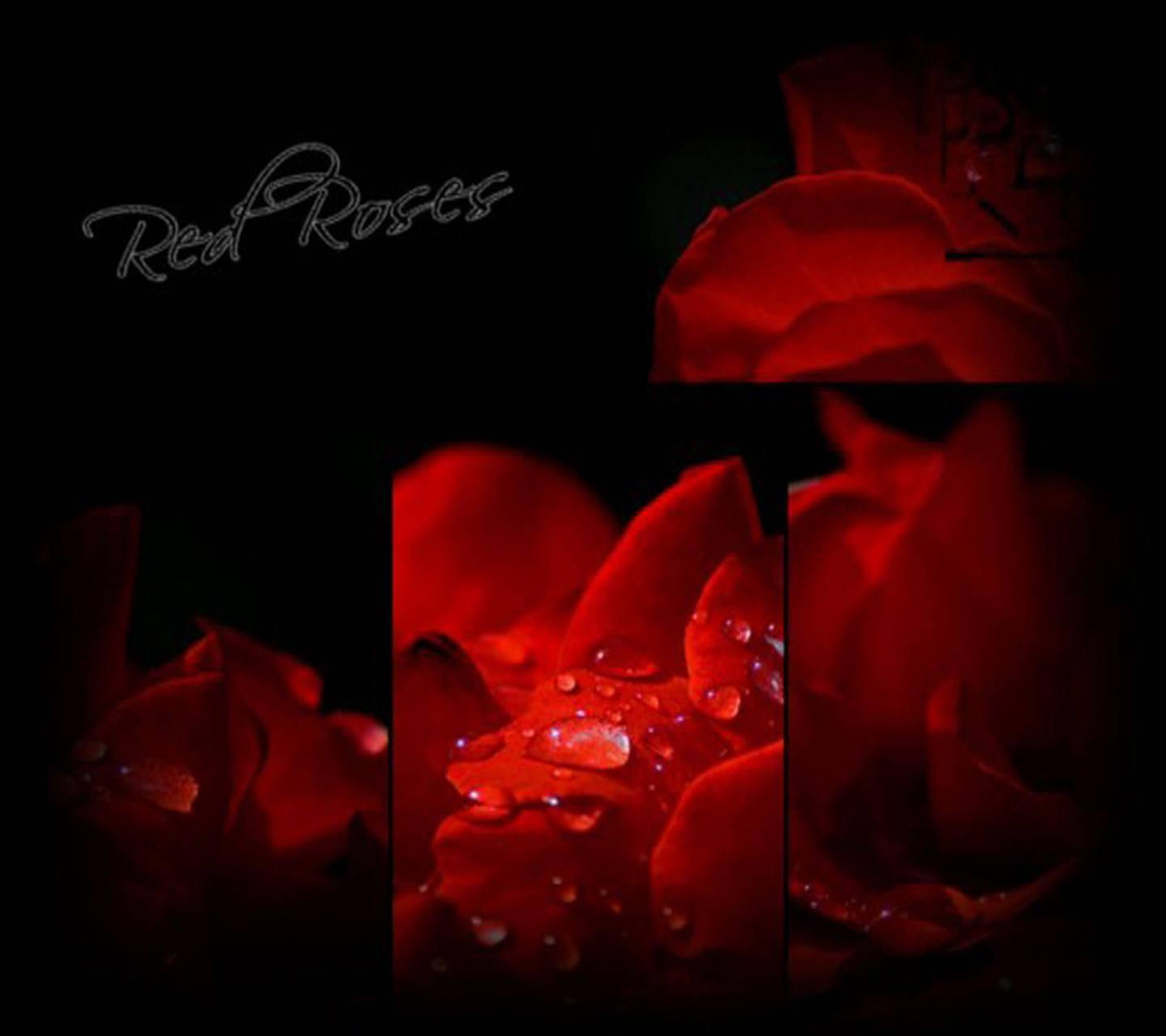 Red Passion Wallpaper