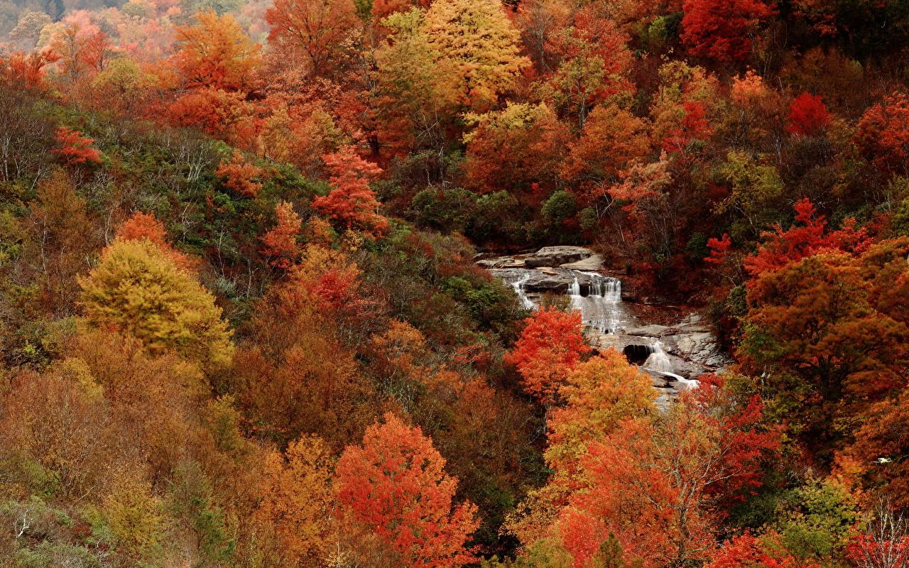 Picture Nature Autumn Seasons