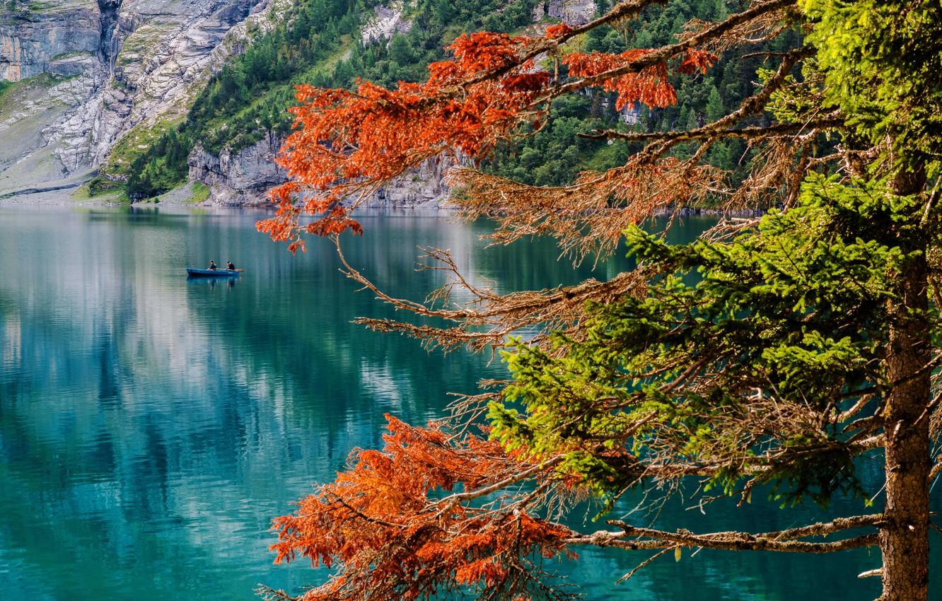 Wallpaper autumn, lake, tree, boat, Switzerland, fishermen