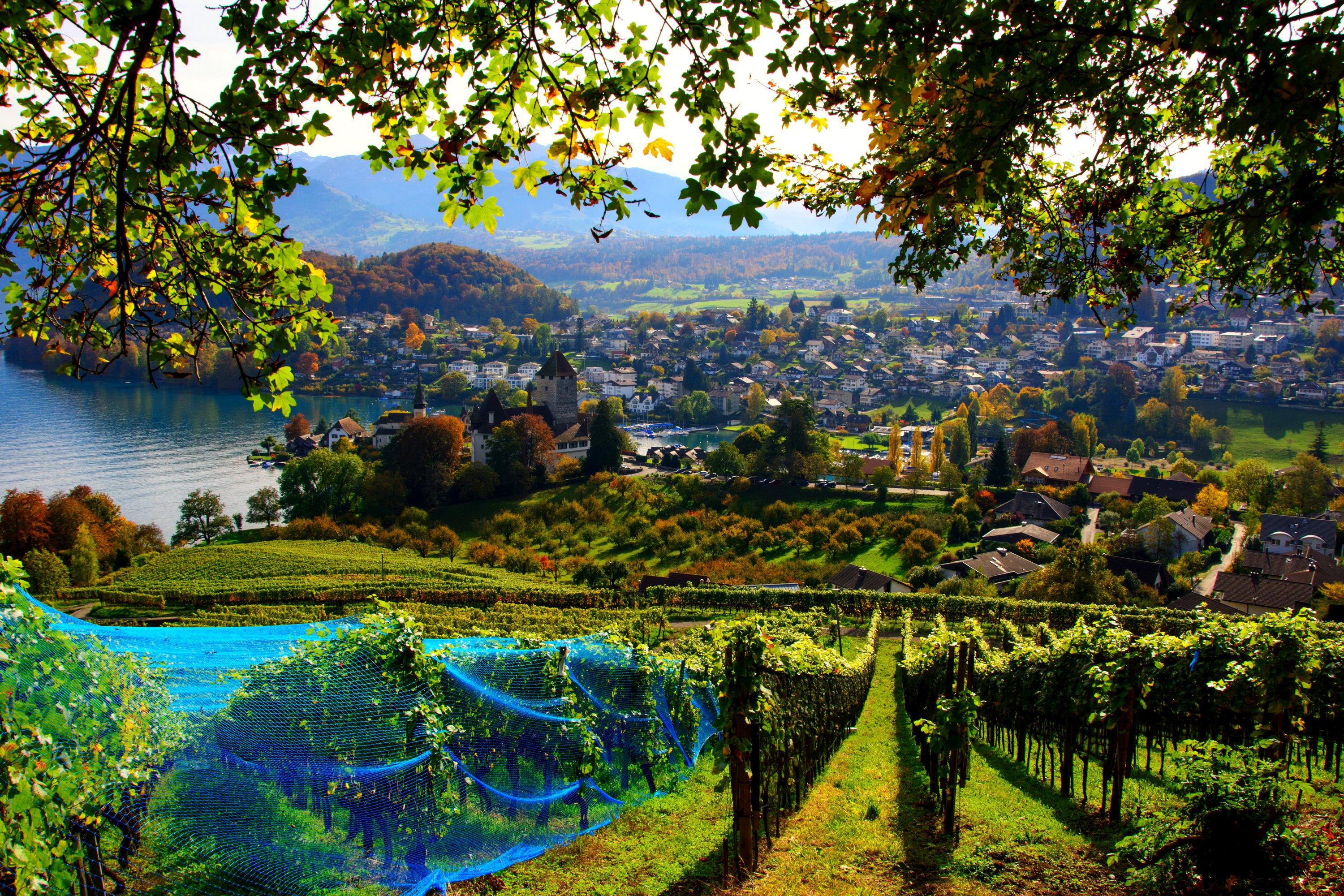 Switzerland House Fields Spiez Cities autumn wallpaper