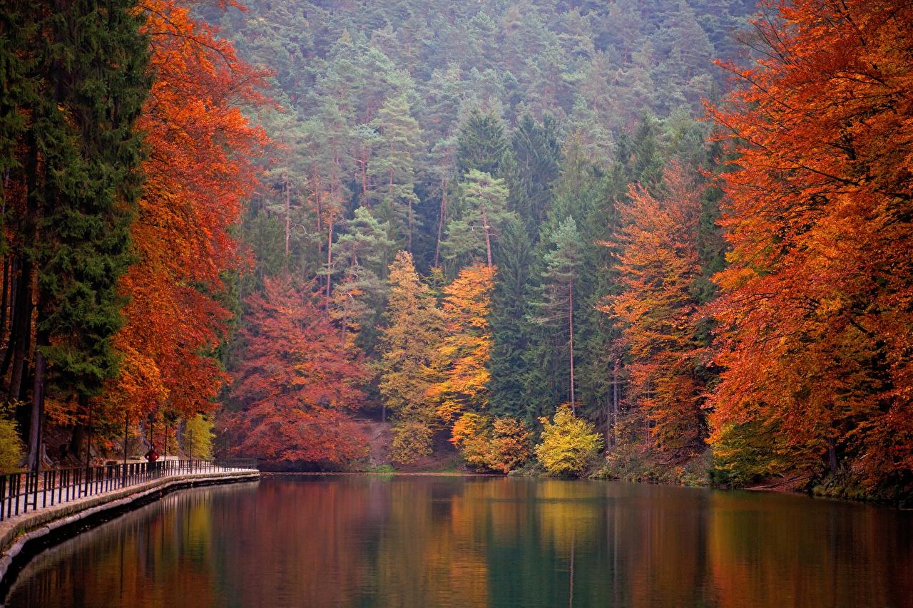 Photos Germany Saxon Switzerland National Park Nature Autumn