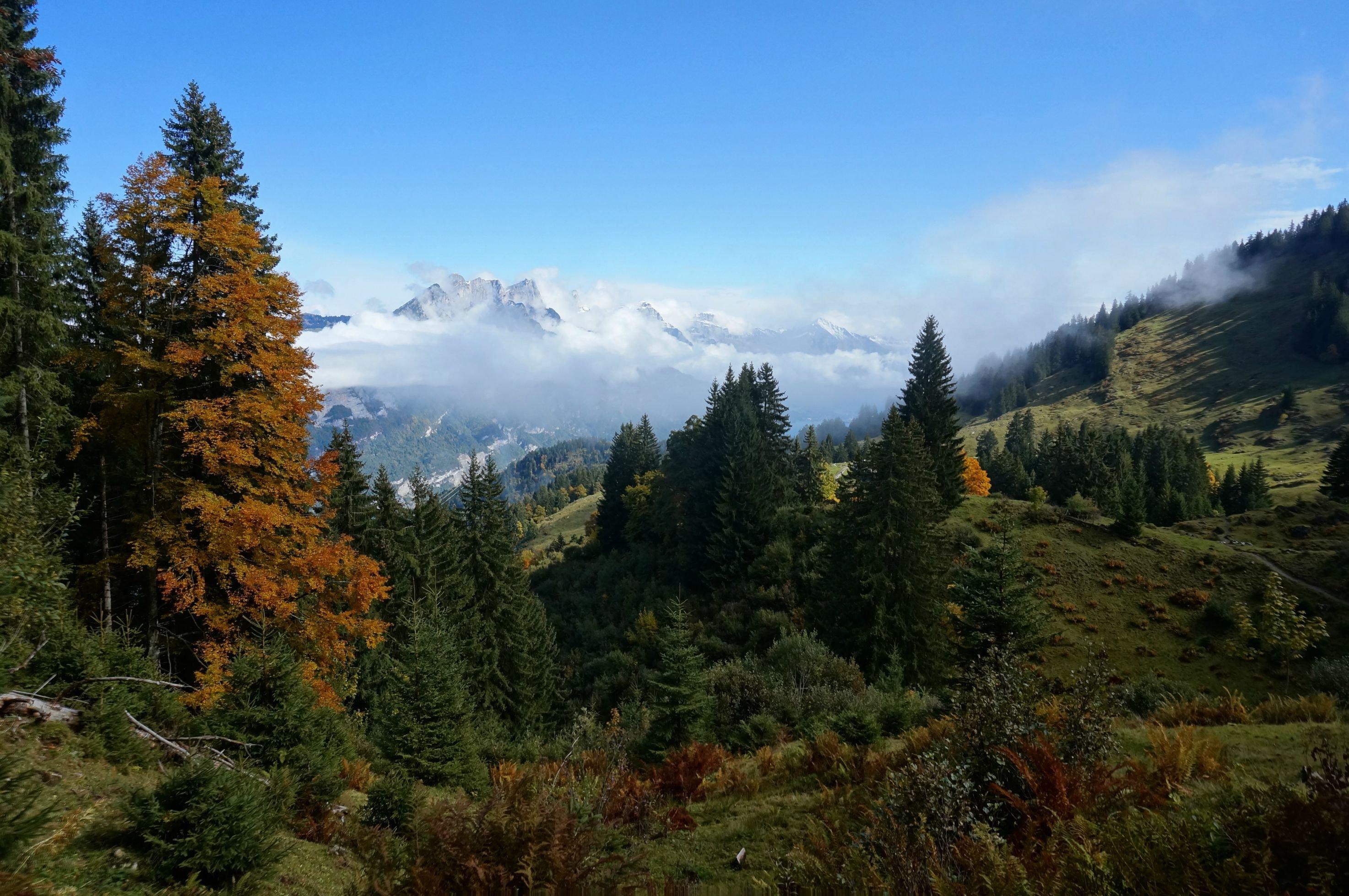 Misty Autumn Morning in the Alps Above Filzbach Switzerland