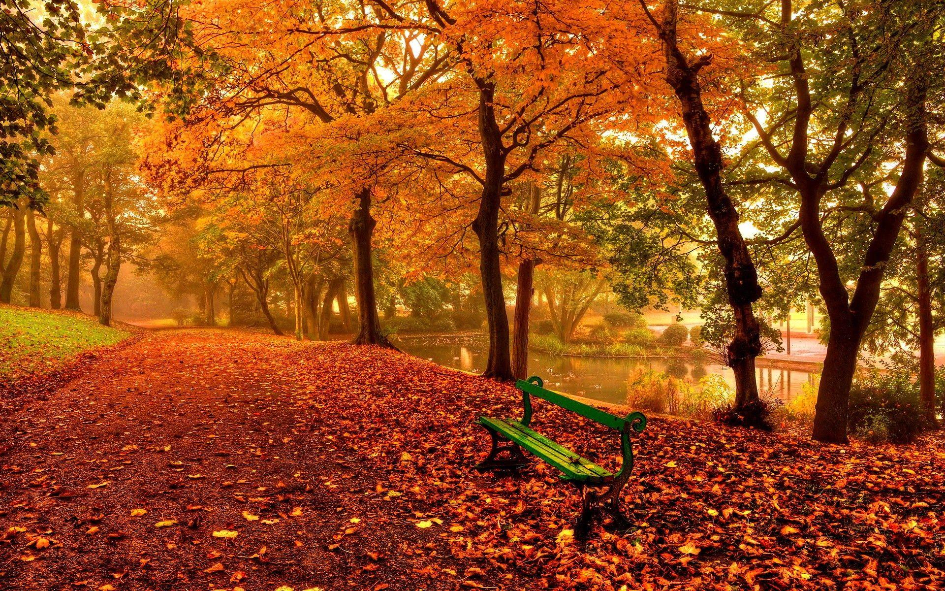Relaxing Autumn Day Wallpaper