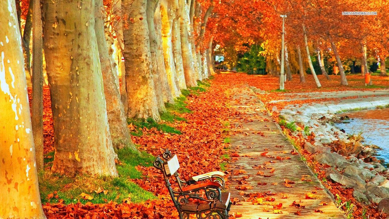 Relaxing Autumn Day Wallpaper