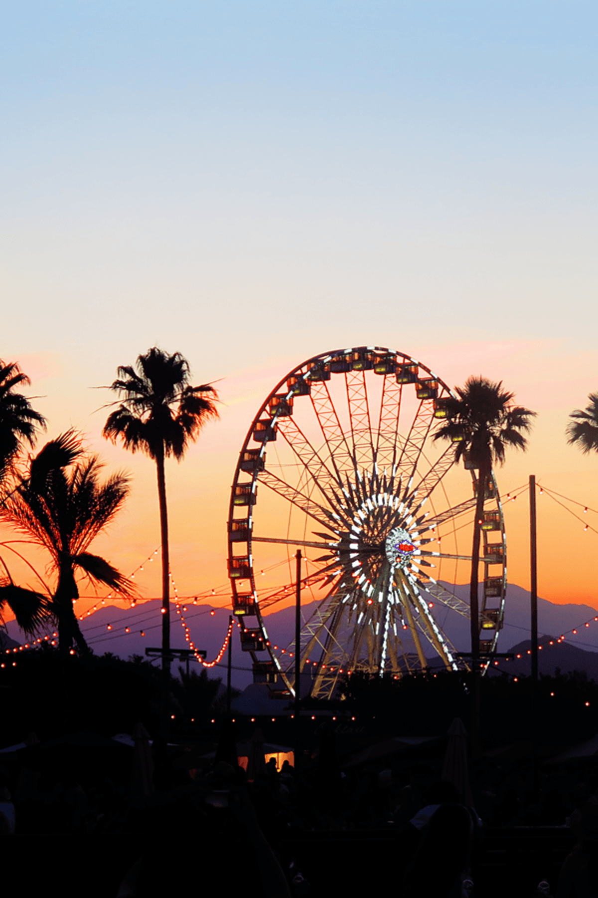 Wanderlust. Picture, Photo, Coachella