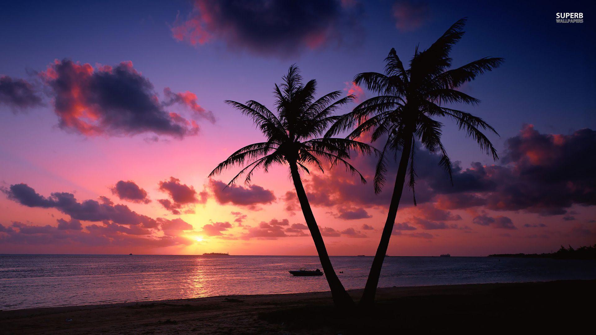 Ocean Sunset HD wallpaperx768. Sunset wallpaper, Sunset landscape, Beach sunset wallpaper