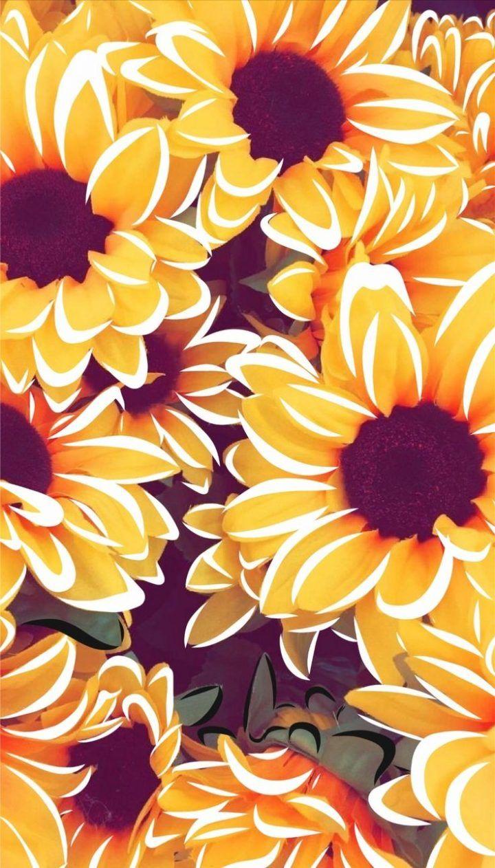 Flower Cute Aesthetic Wallpapers - Wallpaper Cave