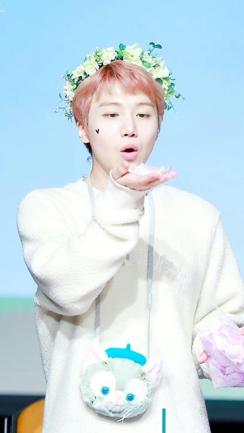 Jinho Wallpapers Wallpaper Cave