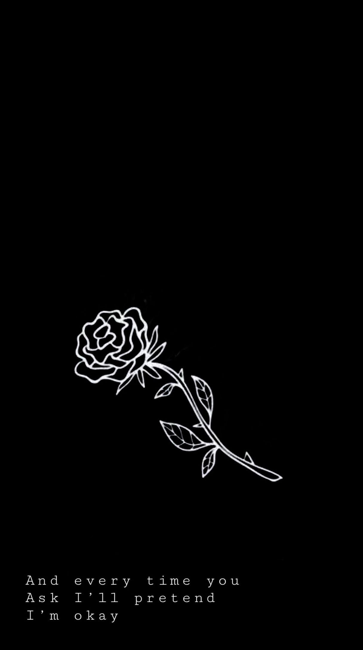 Roses// Shawn Mendes  Shawn mendes songs, Shawn mendes lyrics, Shawn mendes  song lyrics