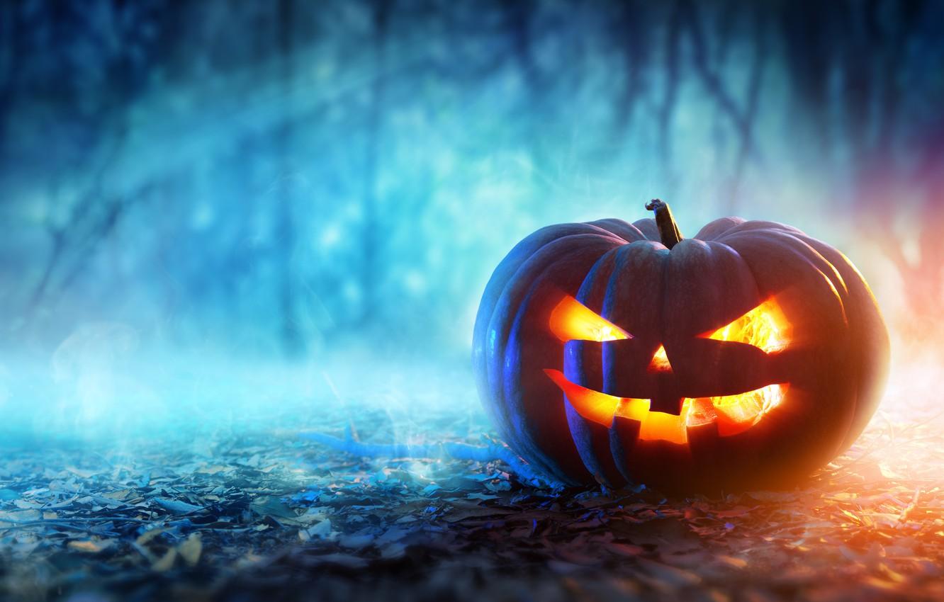 Wallpaper halloween, pumpkin, evil face image for desktop