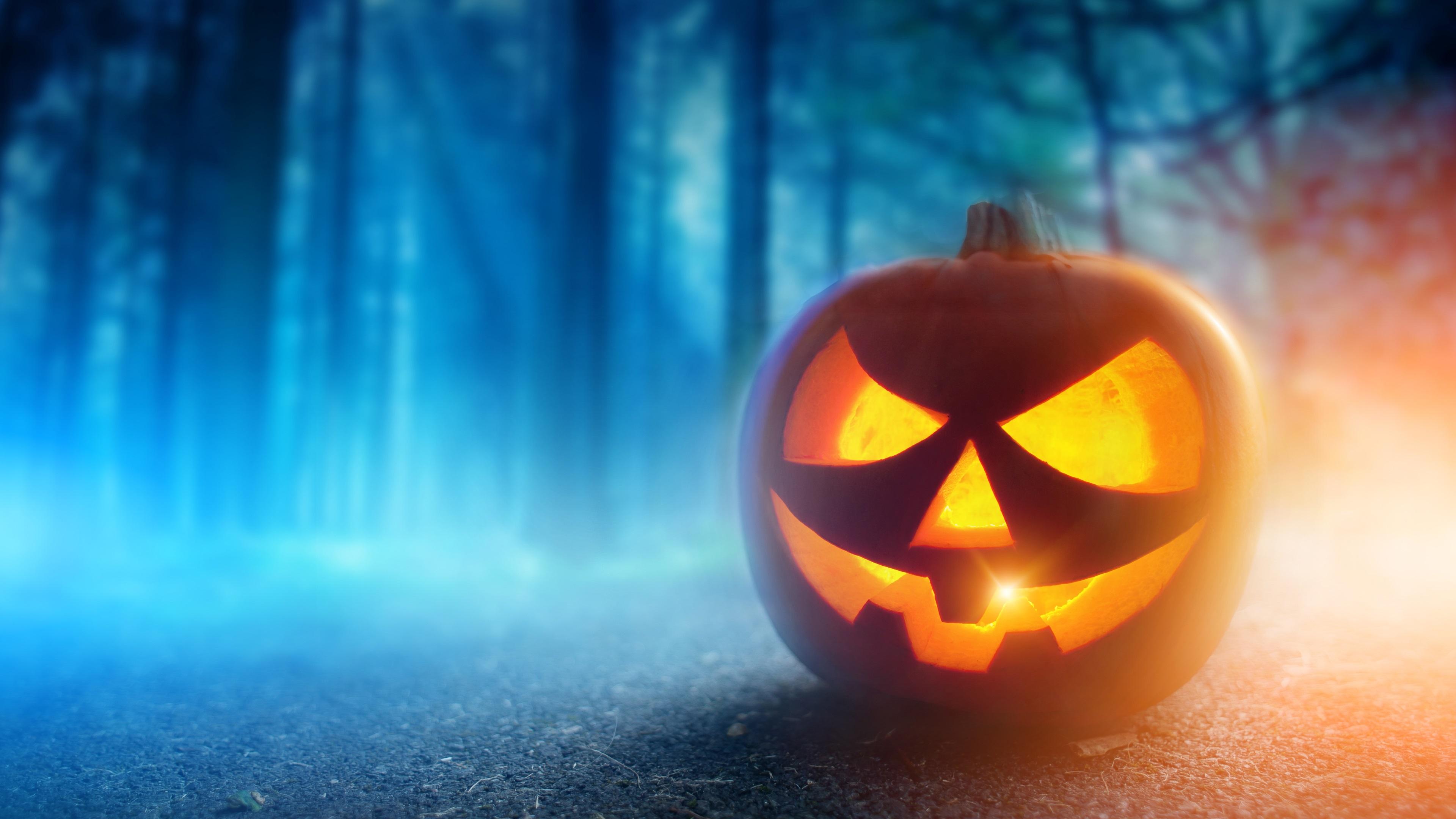 Wallpaper Halloween, pumpkin lantern, face, night, trees 3840x2160 UHD 4K Picture, Image