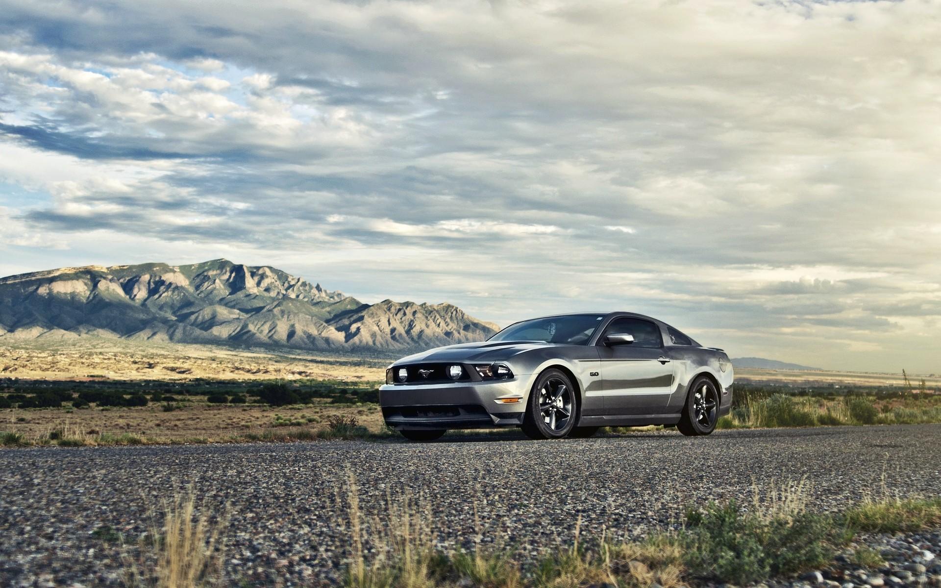 Beautiful Mustang Wallpaper 46572 1920x1200px