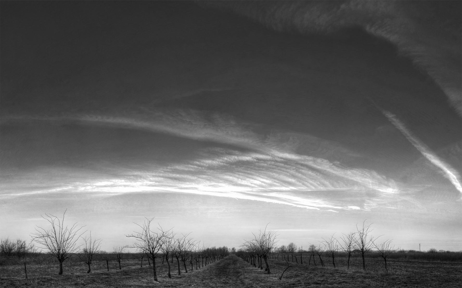 Black and White Skyscape wallpaper. Black and White