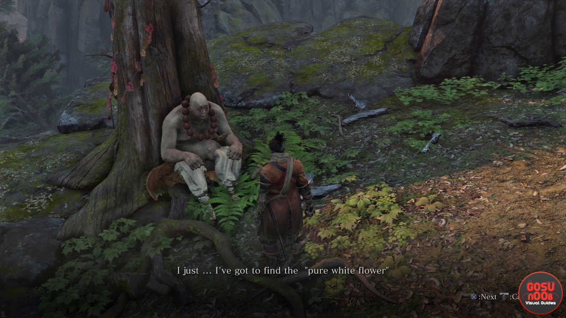 Sekiro Kotaro NPC Full Guide -Taro Persimmon, White Flower