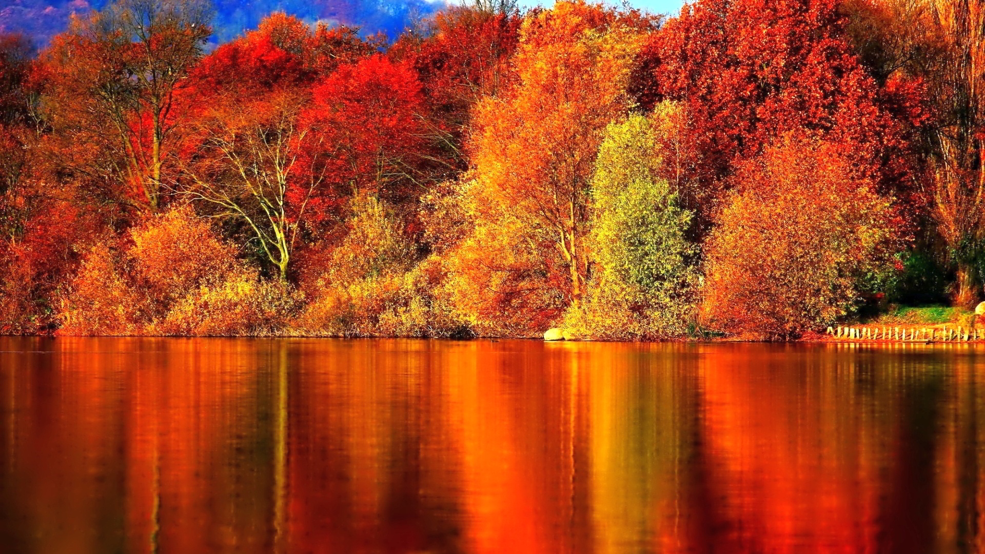 Autumn Scene, (1920x1080.8915)