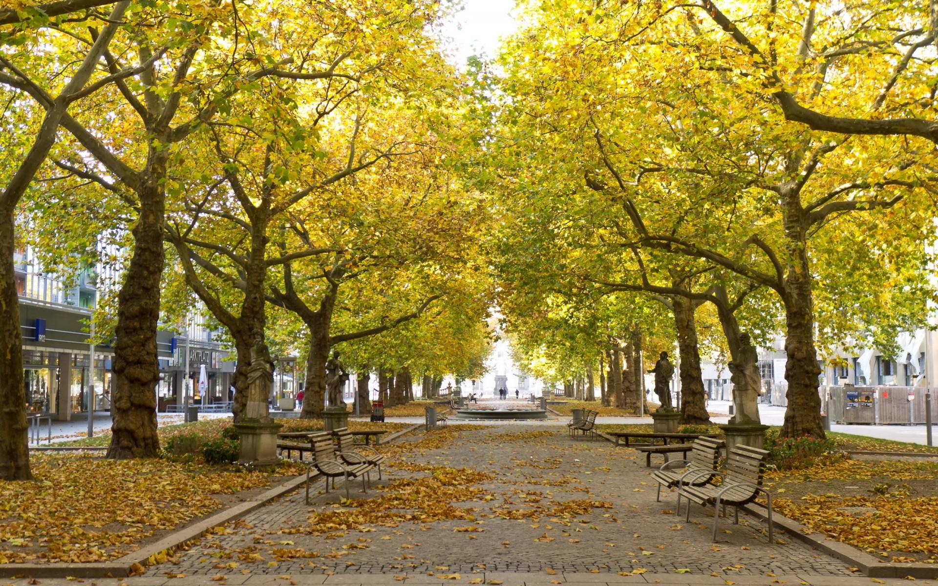 Sidewalk park statue sidewalk bench trees leaves autumn fall