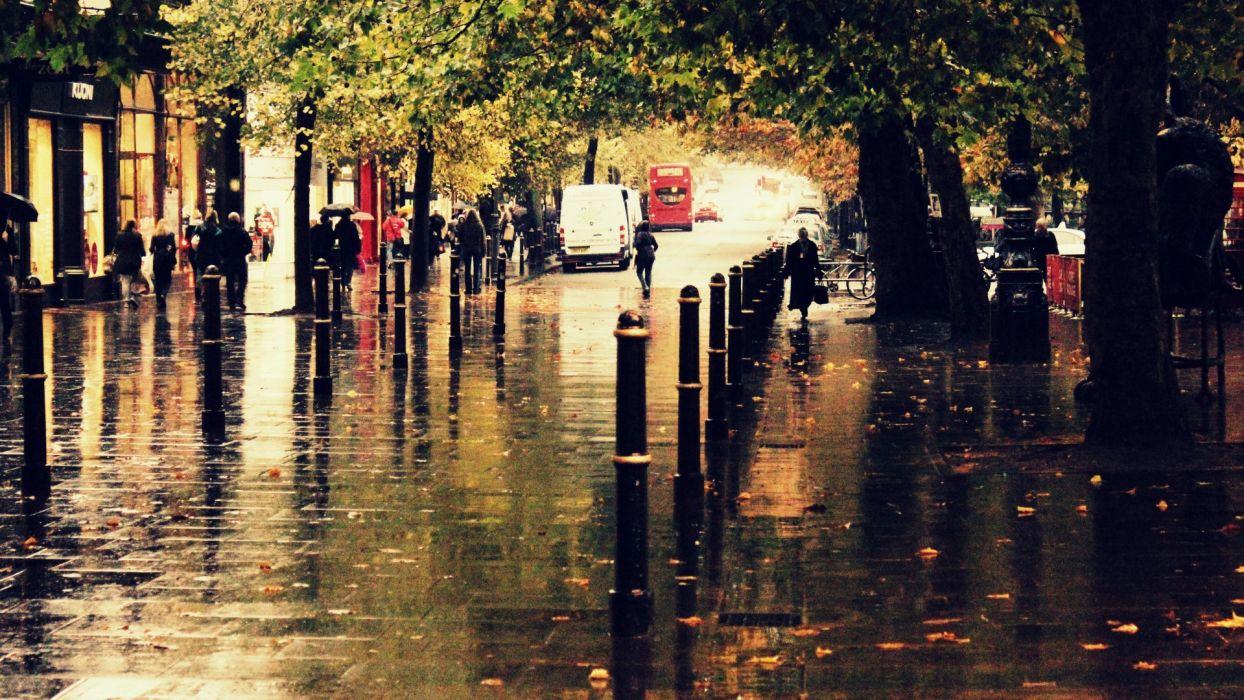 Autumn city street rain people sidewalk reflection trees