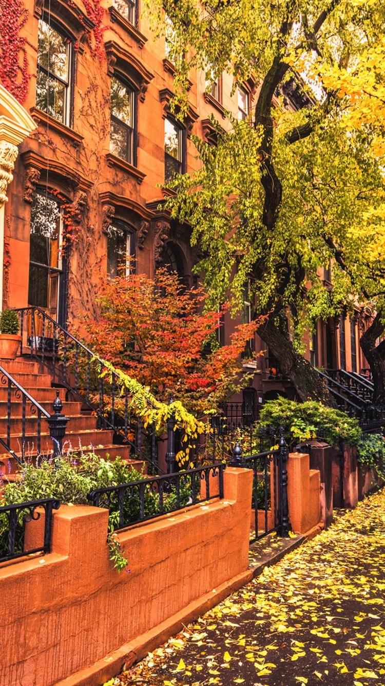 Wallpaper Brooklyn, city, houses, sidewalk, autumn, trees