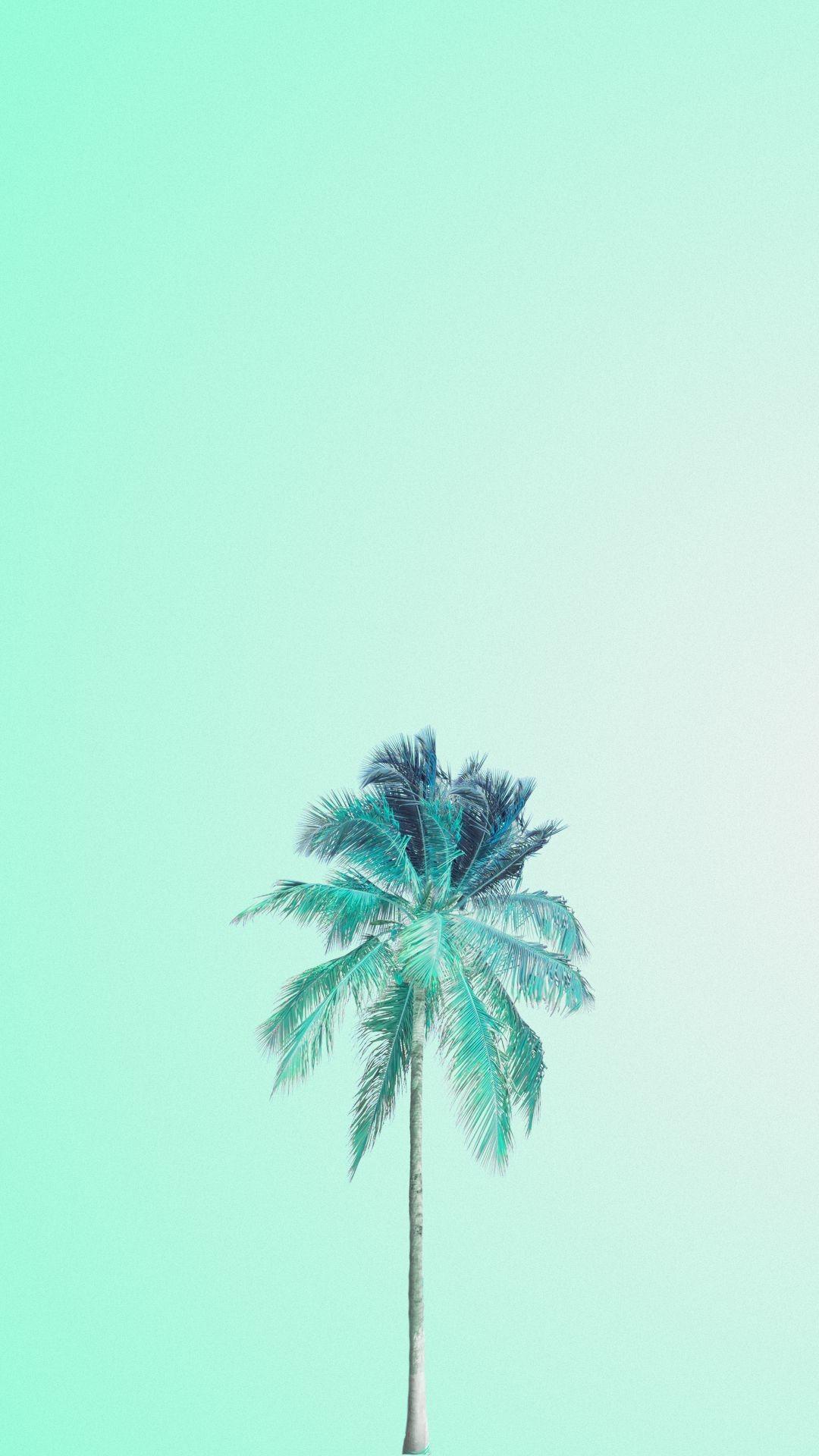 Download Green Aesthetic Iphone Screen Wallpaper