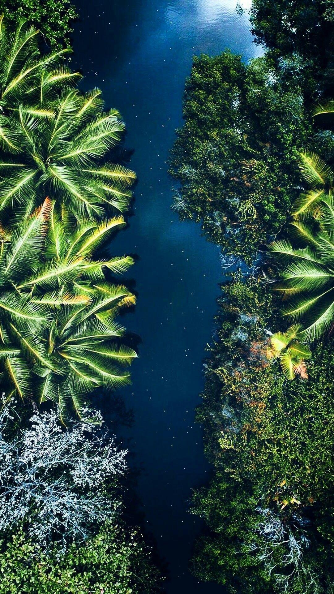 iPhone Wallpaper. Vegetation, Water, Nature, Green